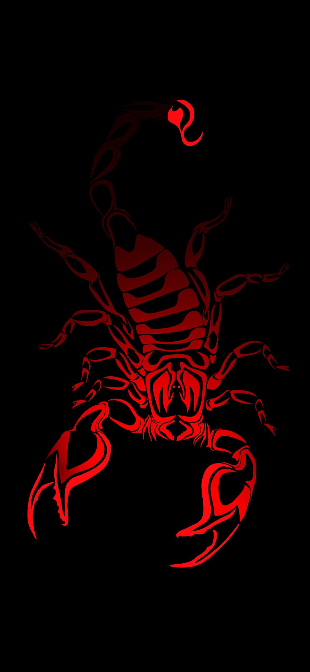 1284x2778 Best Scorpion arachnids iPhone HD Wallpaper