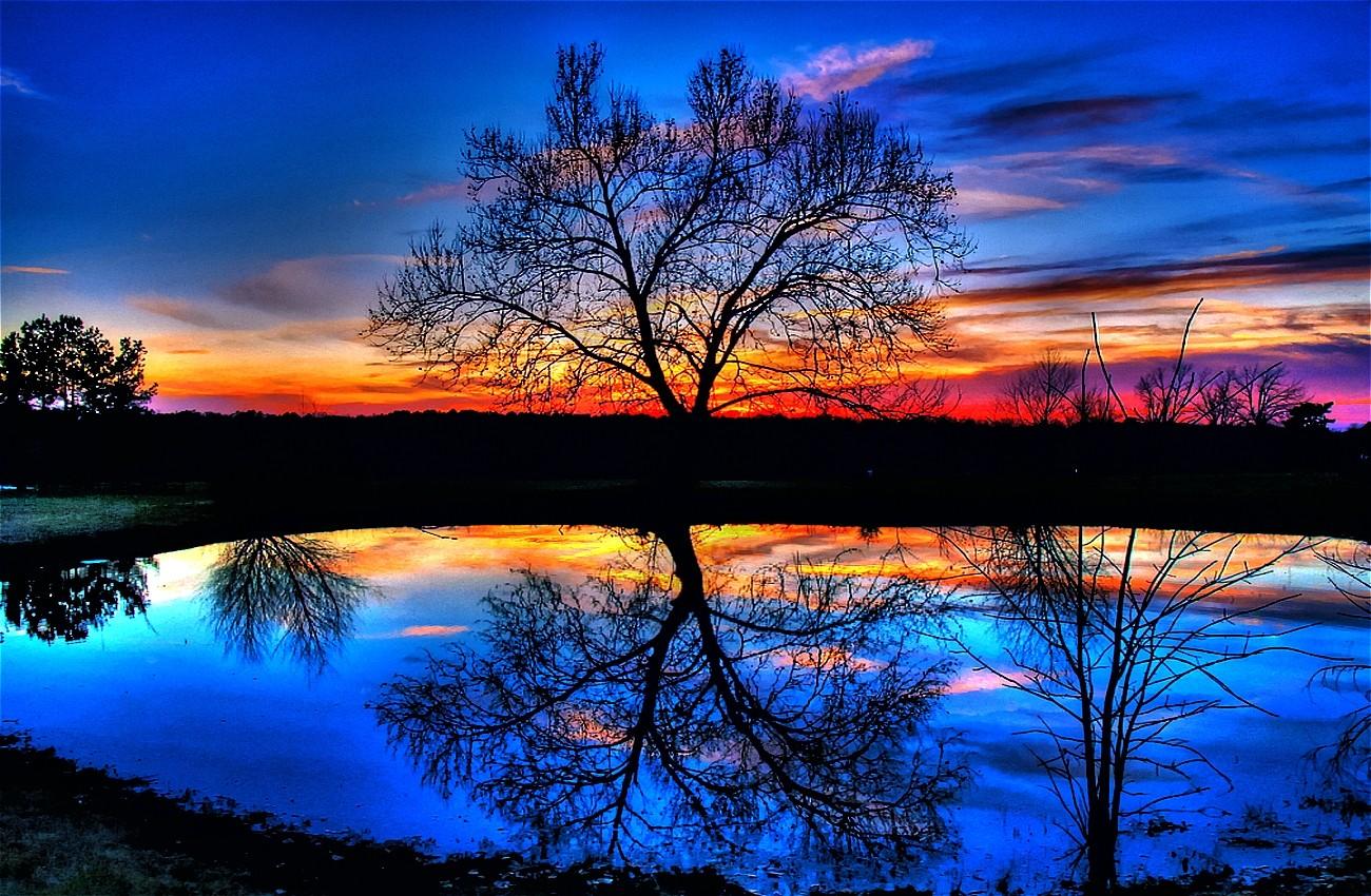 1300x850 Vibrant HD Wallpaper 35774