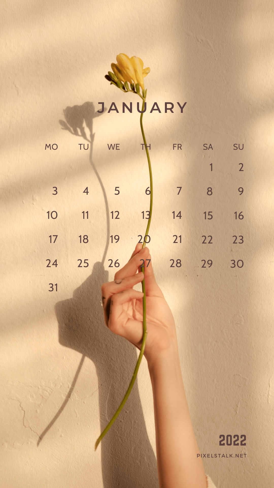 November Calendar Wallpaper 2022 January 2022 Calendar Wallpapers - Top Free January 2022 Calendar  Backgrounds - Wallpaperaccess