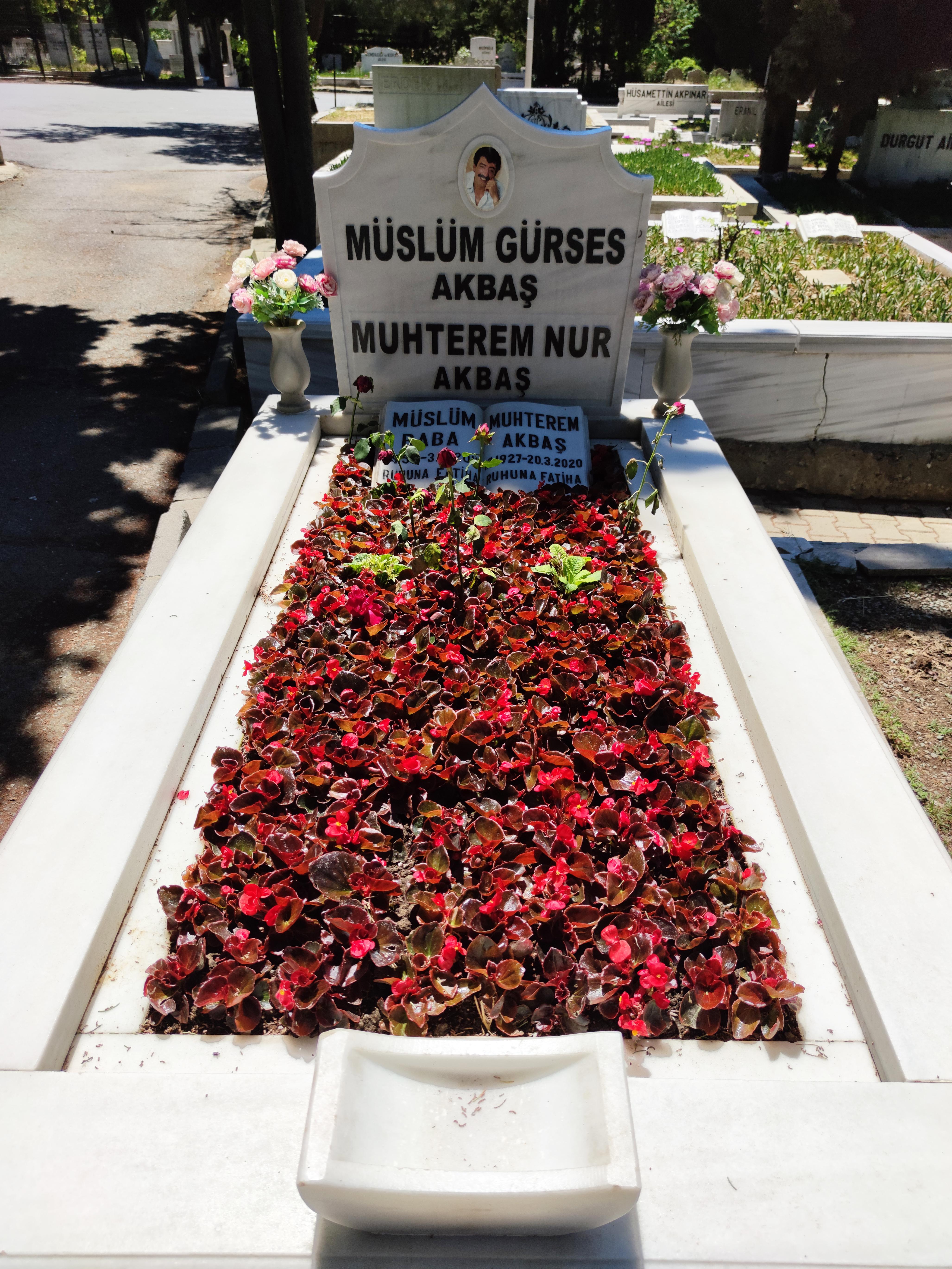 4110x5480 Muslum Gurses