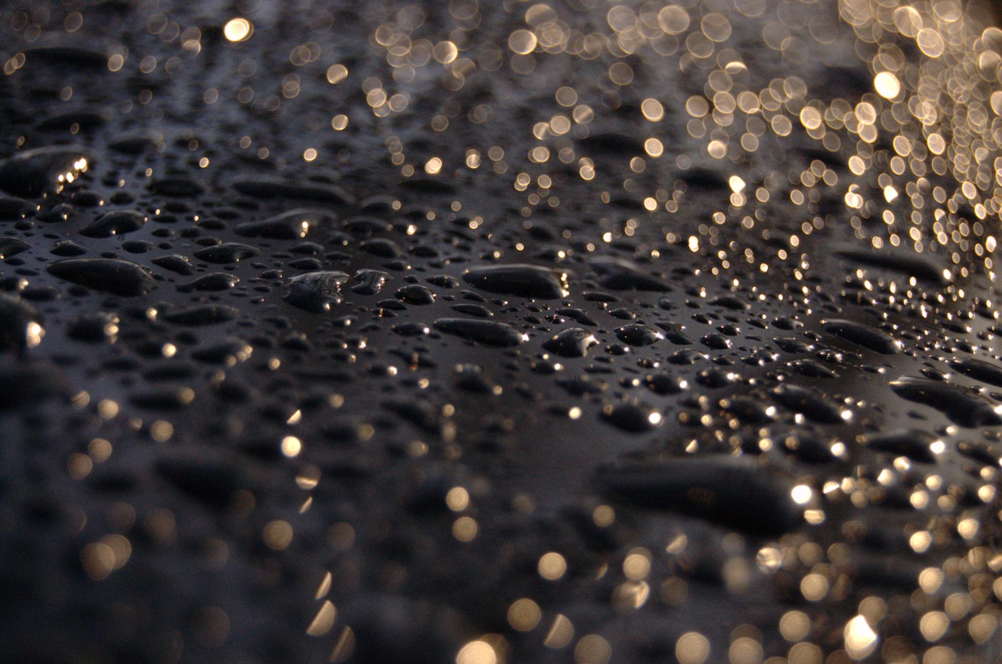2036x1349 Black Gold wallpaper, Movie, HQ Black Gold pictureK Wallpaper 2019