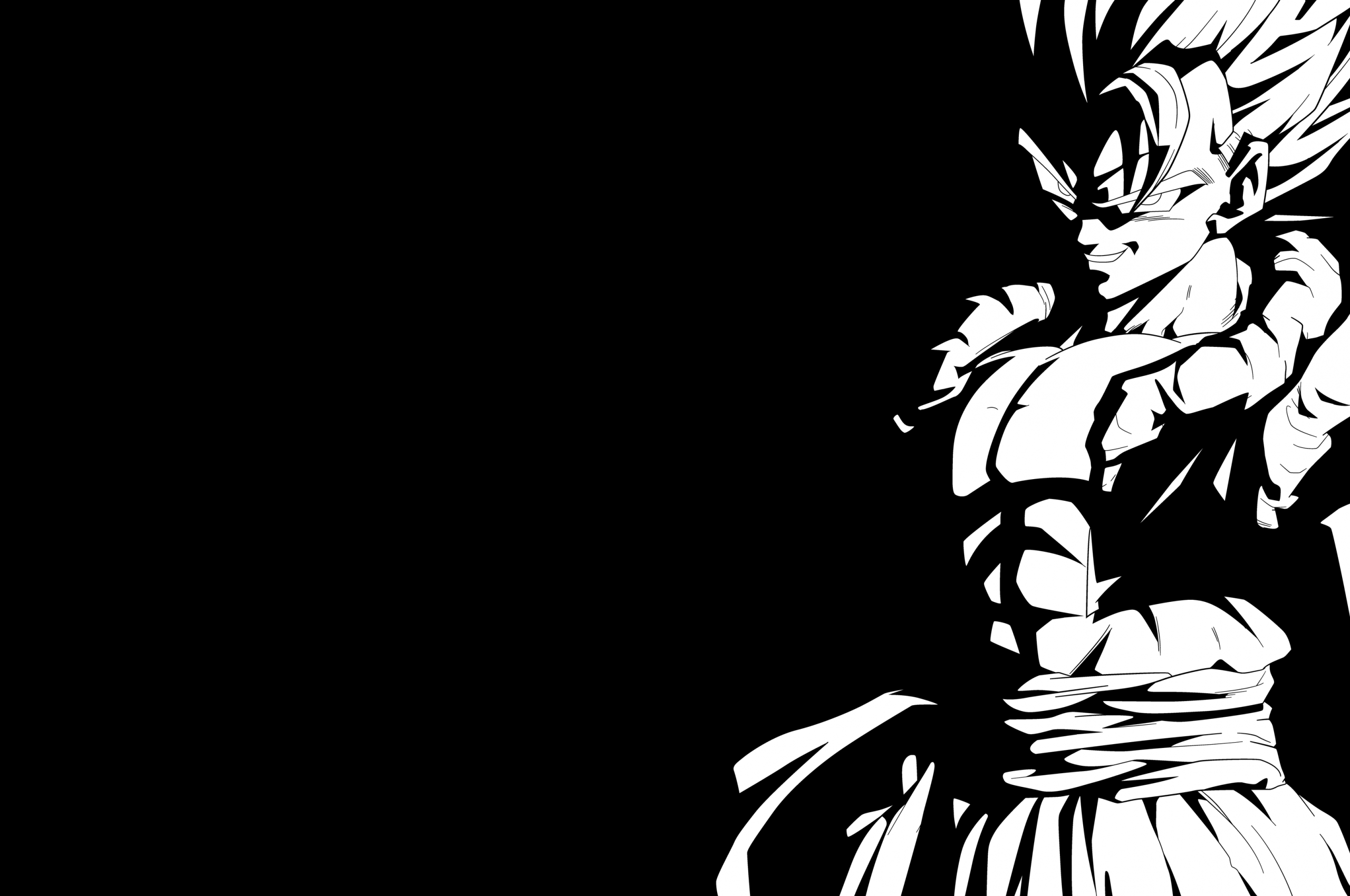 2560x1700 Free download 98 Gogeta Dragon Ball HD Wallpaper Background Image [4096x2160] for your Desktop, Mobile & Tablet. Explore Dragon Ball Z Black And White Wallpaper. Dragon Ball Z Black