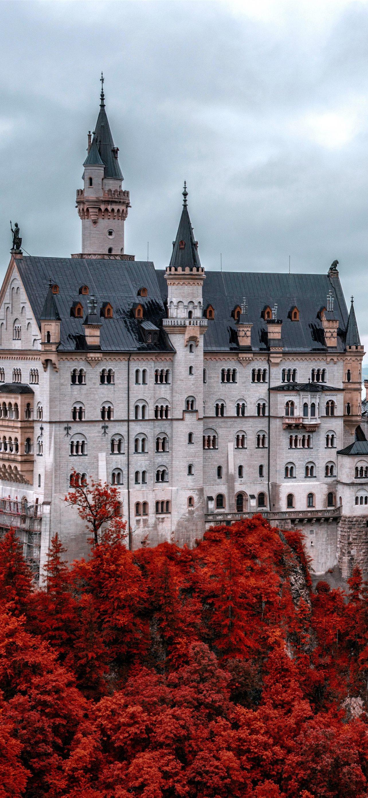 1284x2778 Best Regensburg iPhone HD Wallpaper