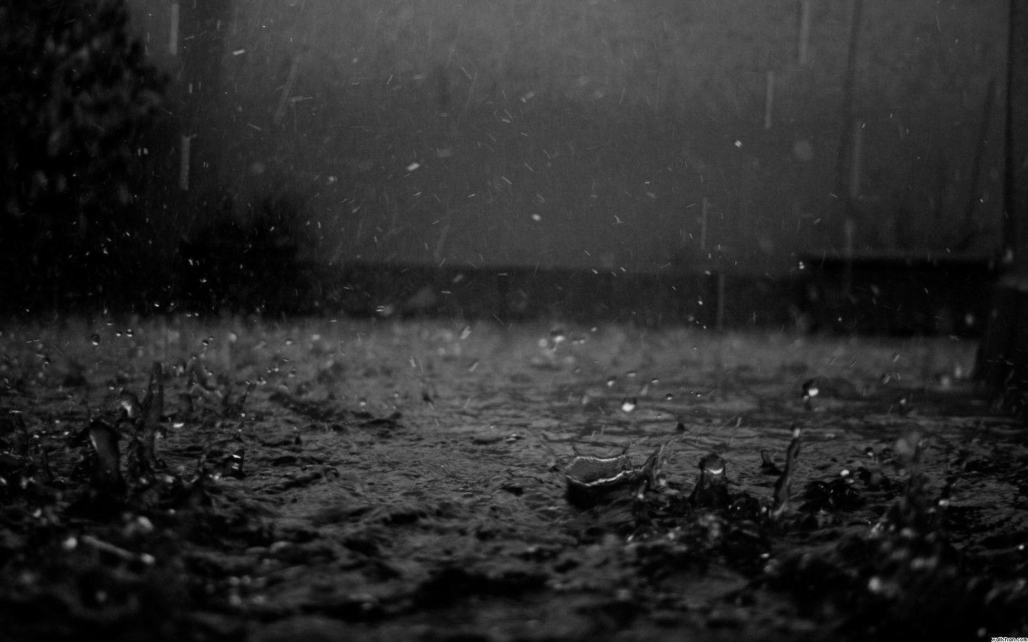 1440x900 Wallpaper HD For Rain Drops On Coffee Bean Widescreen Dark Rainy