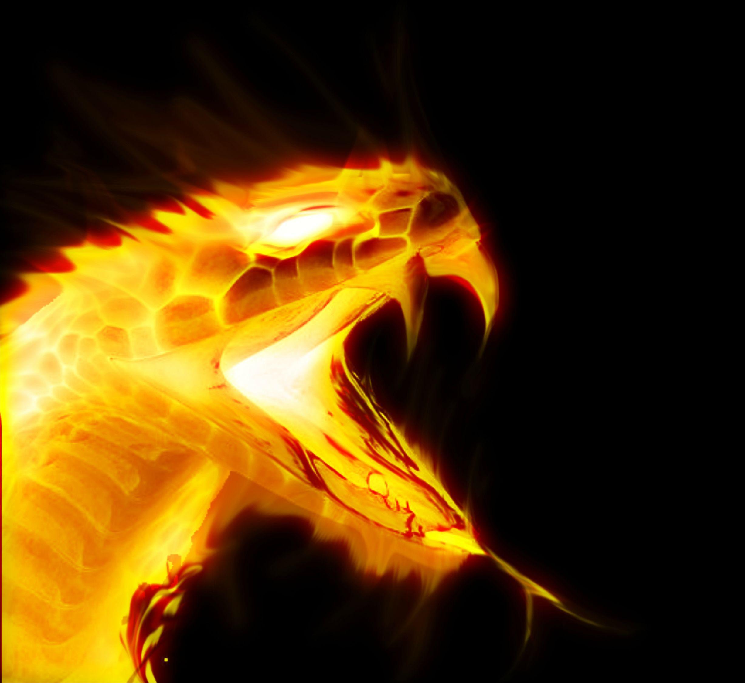 Змея в огне. Снейк фаер. Огненная змея. Огненный дракон. Огнедышащий дракон.