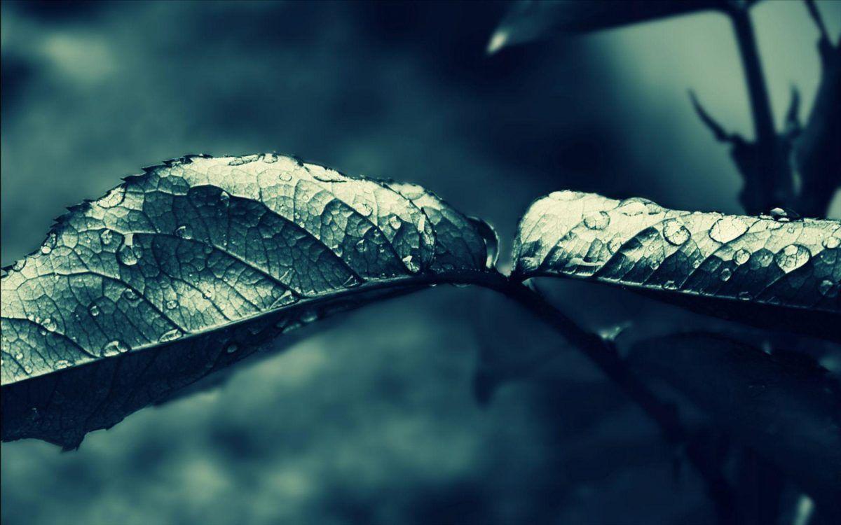 Dark Rain Wallpapers - Top Free Dark Rain Backgrounds - WallpaperAccess