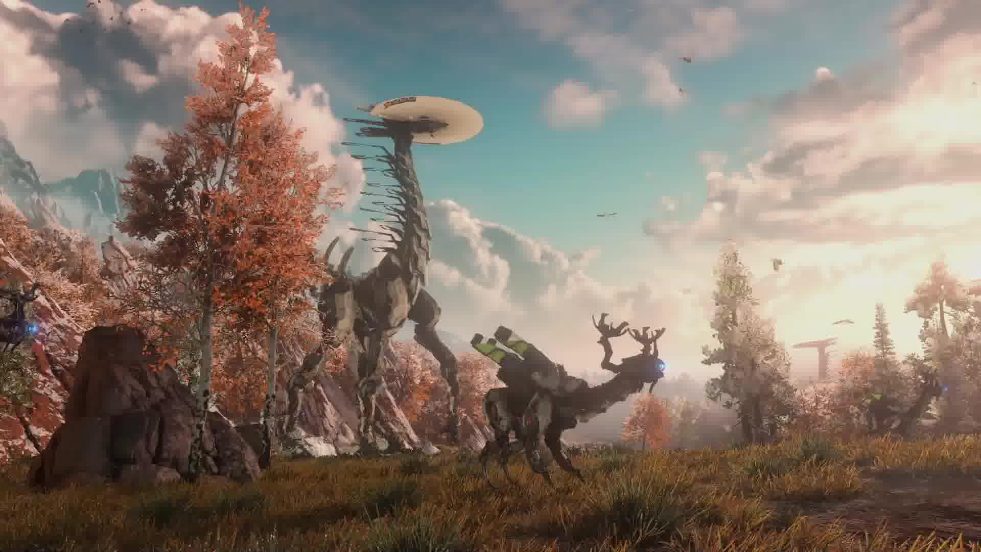 1920x1080 horizon zero dawn wallpaper 89