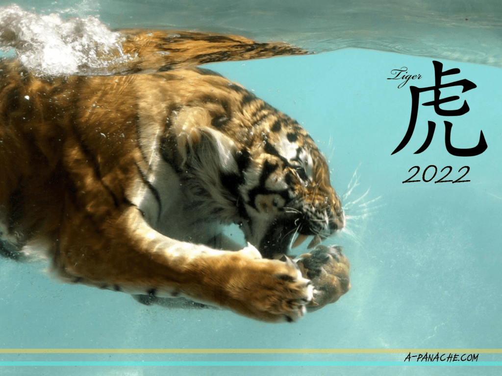 1024x768 Year of the Water Tiger