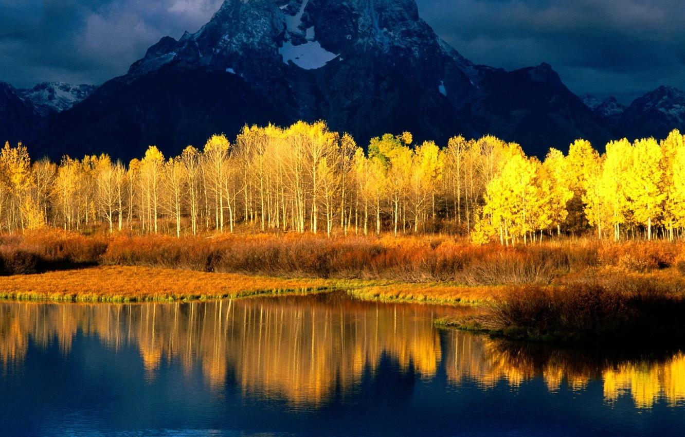 1332x850 Wallpaper the sky, water, clouds, snow, trees, mountains, reflection, river, gold, Forest image for desktop, section природа