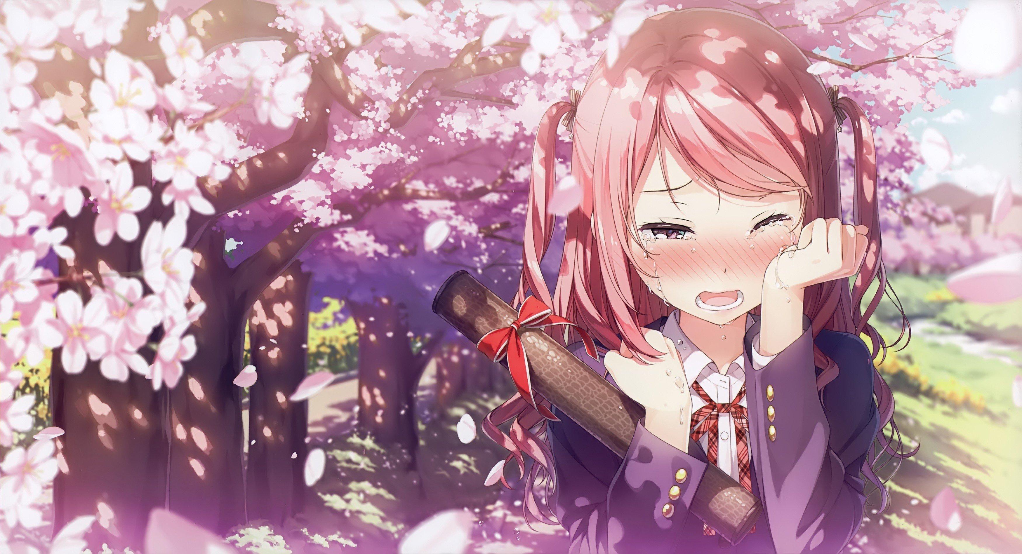 3500x1898 kantoku long hair pink hair pink eyes tears blushing hair bows cherry blossom cute anime girl crying kurumi kantoku petals school uniform trees wallpaper