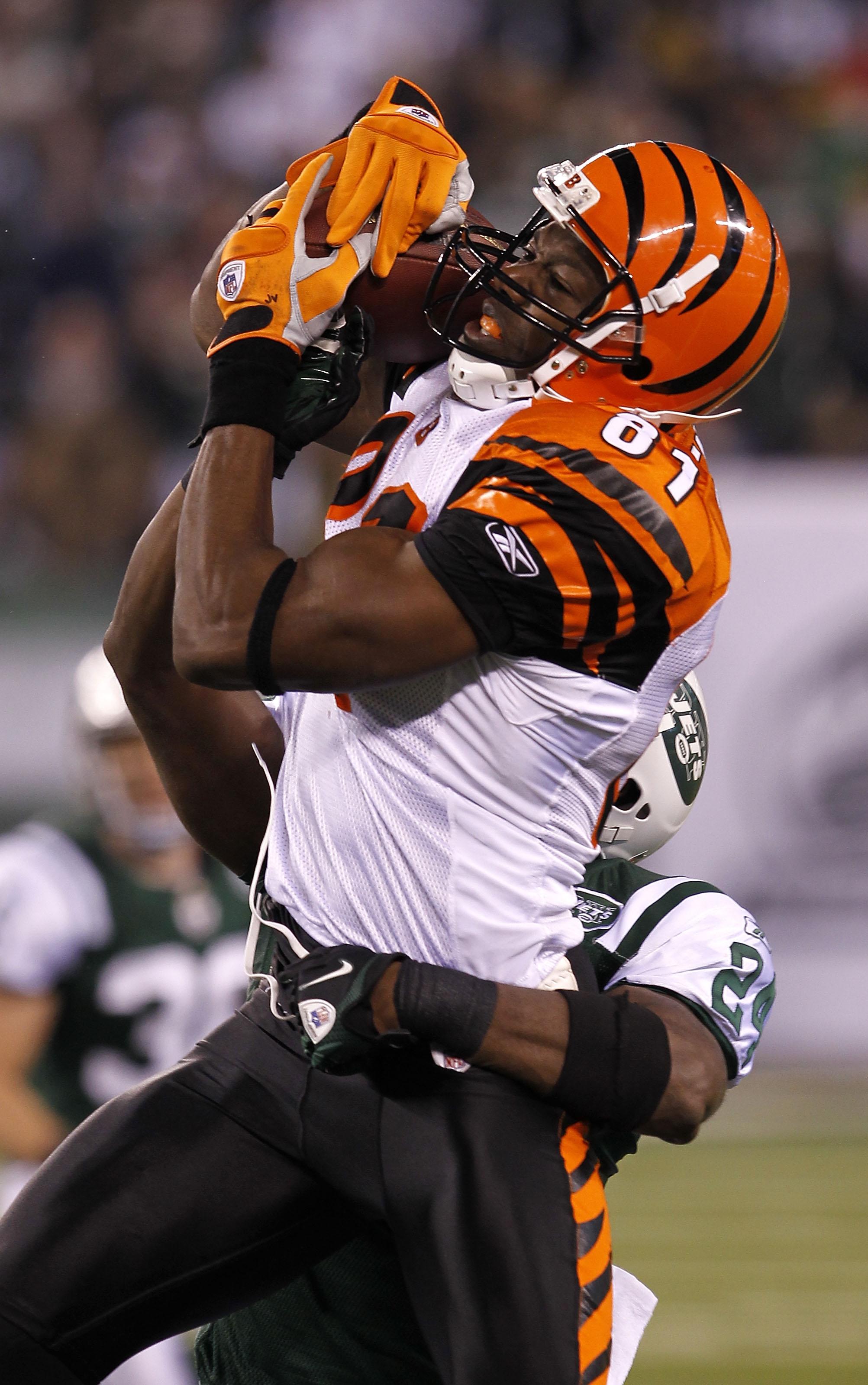 2005x3197 NFL Free Agency Rumors: 10 Potential Suitors For Terrell Owens. Bleacher Report. Latest News, Videos and Highlights