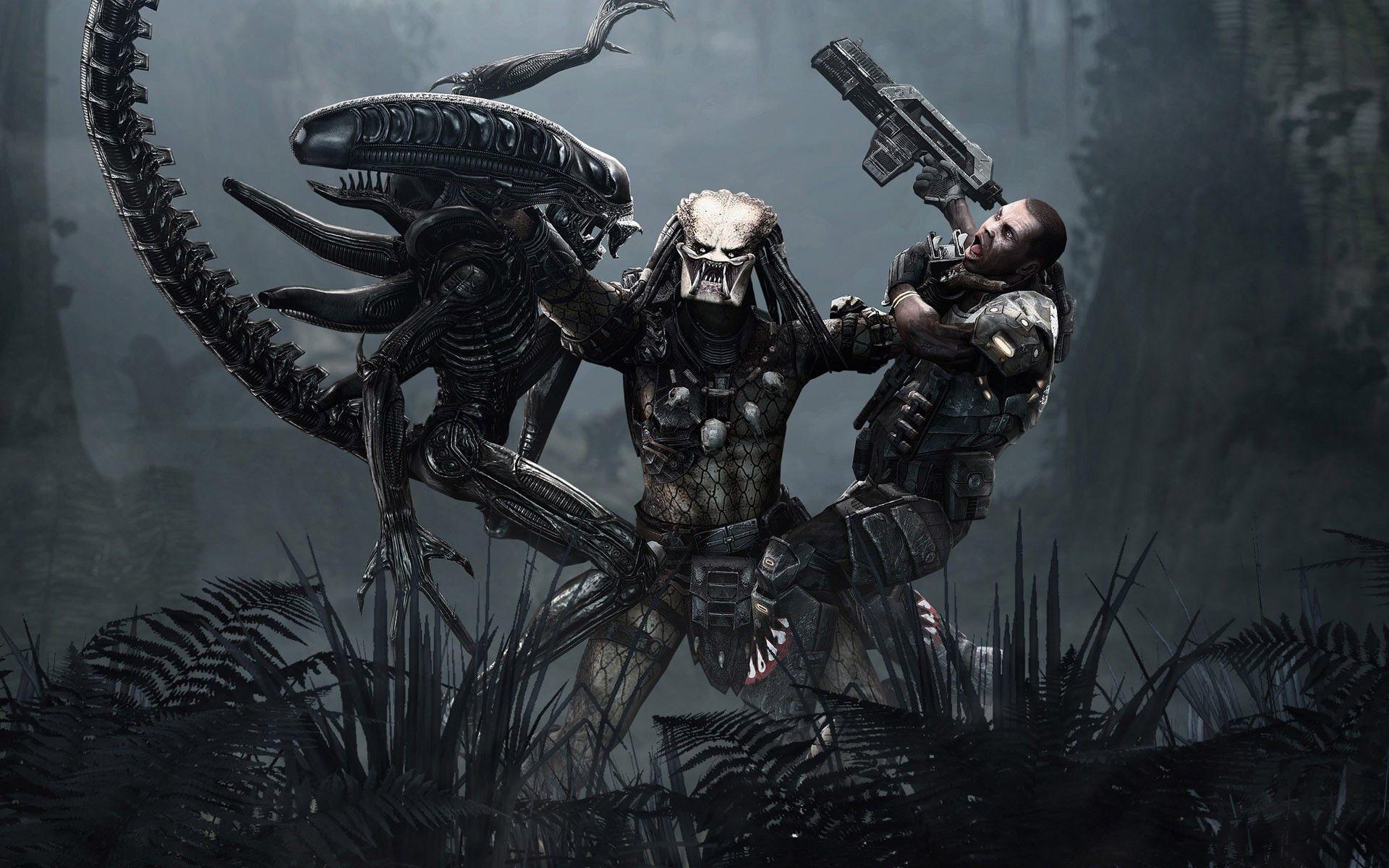 1920x1200 Alien Vs Predator Wallpaper Wallpaper Vs Alien