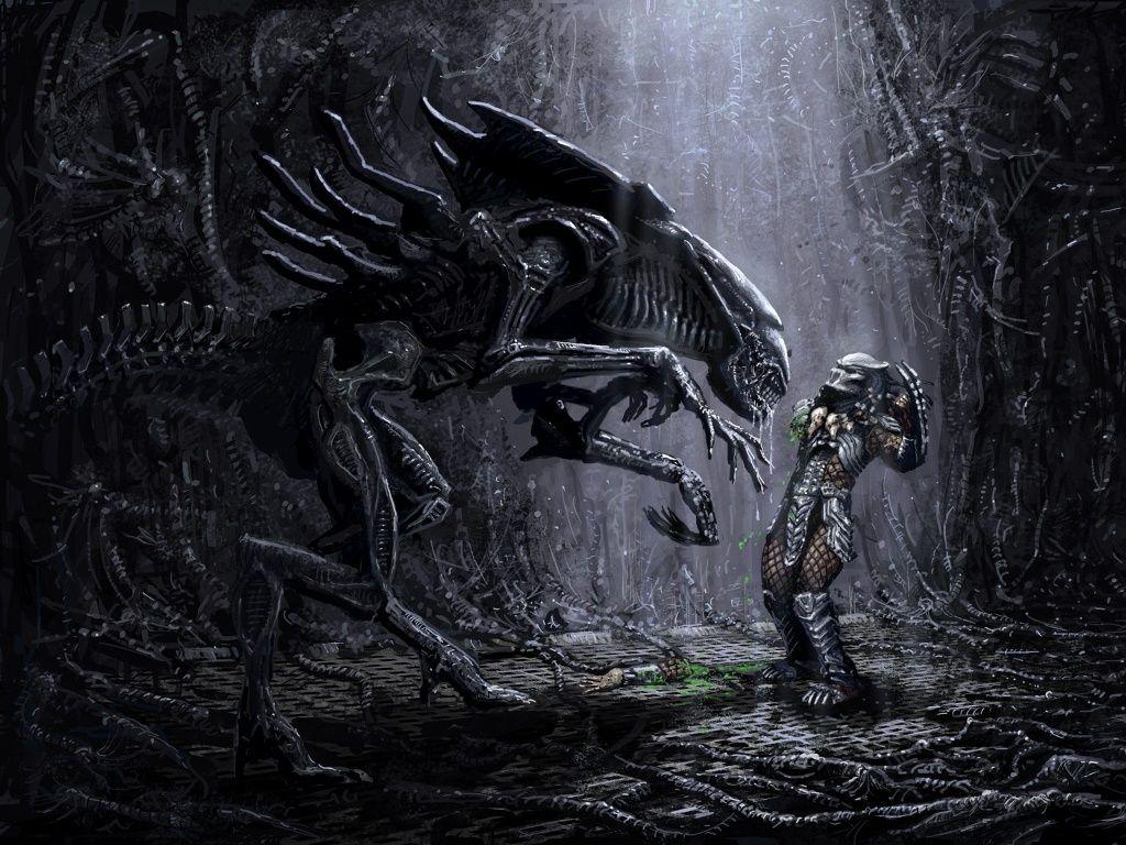 1024x768 Ultimate Predator Wallpaper
