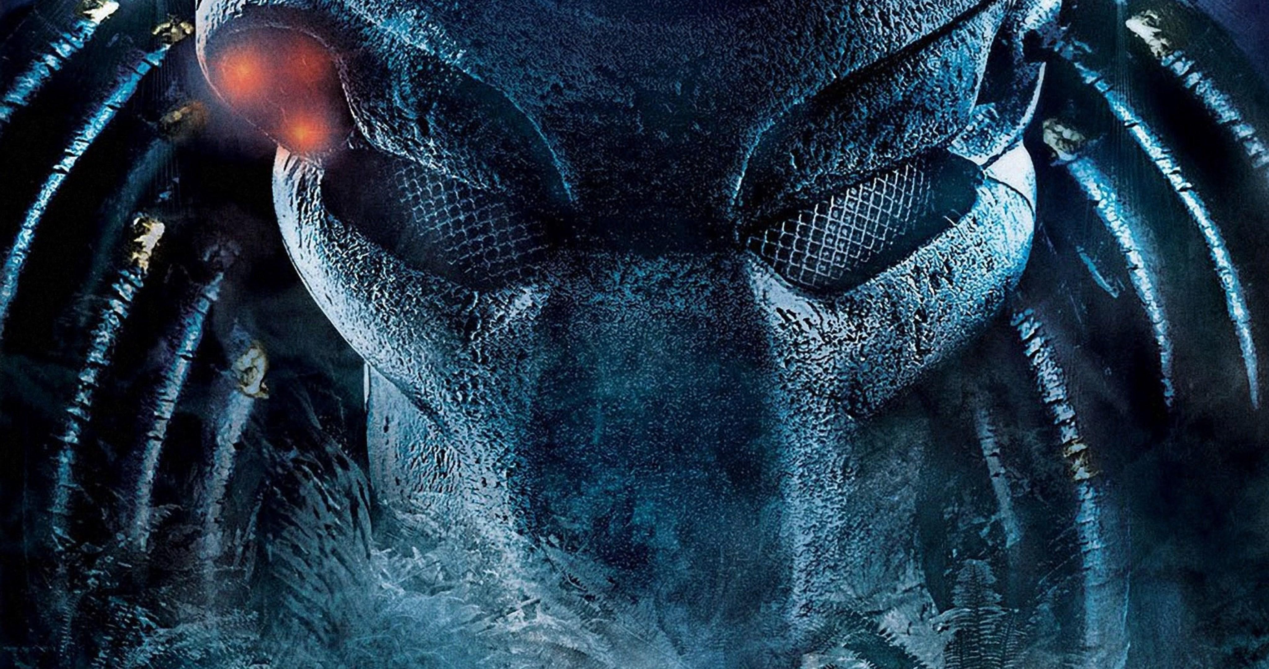 4096x2160 predator wallpaper HD 4k ultra HD wallpaper High quality walls