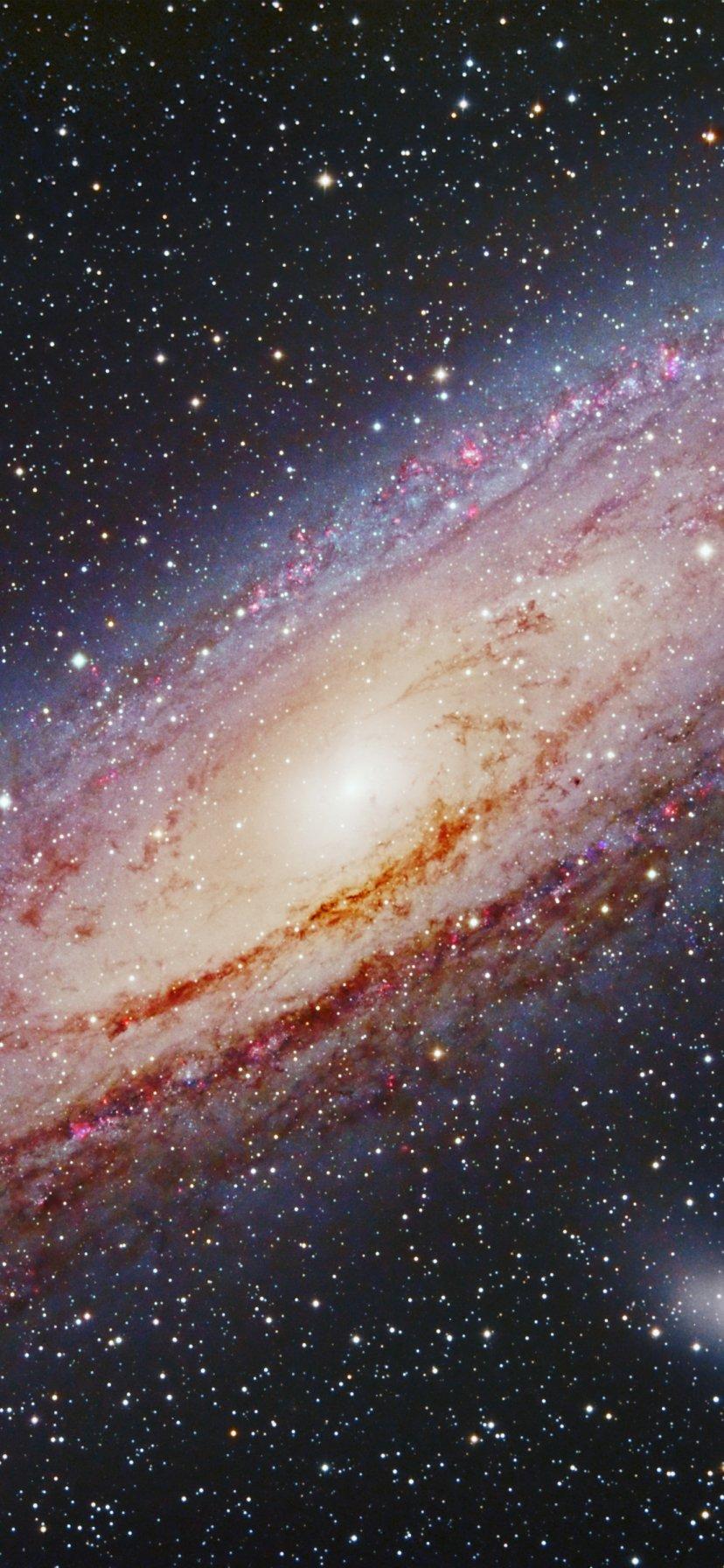 828x1792 Sci Fi Galaxy