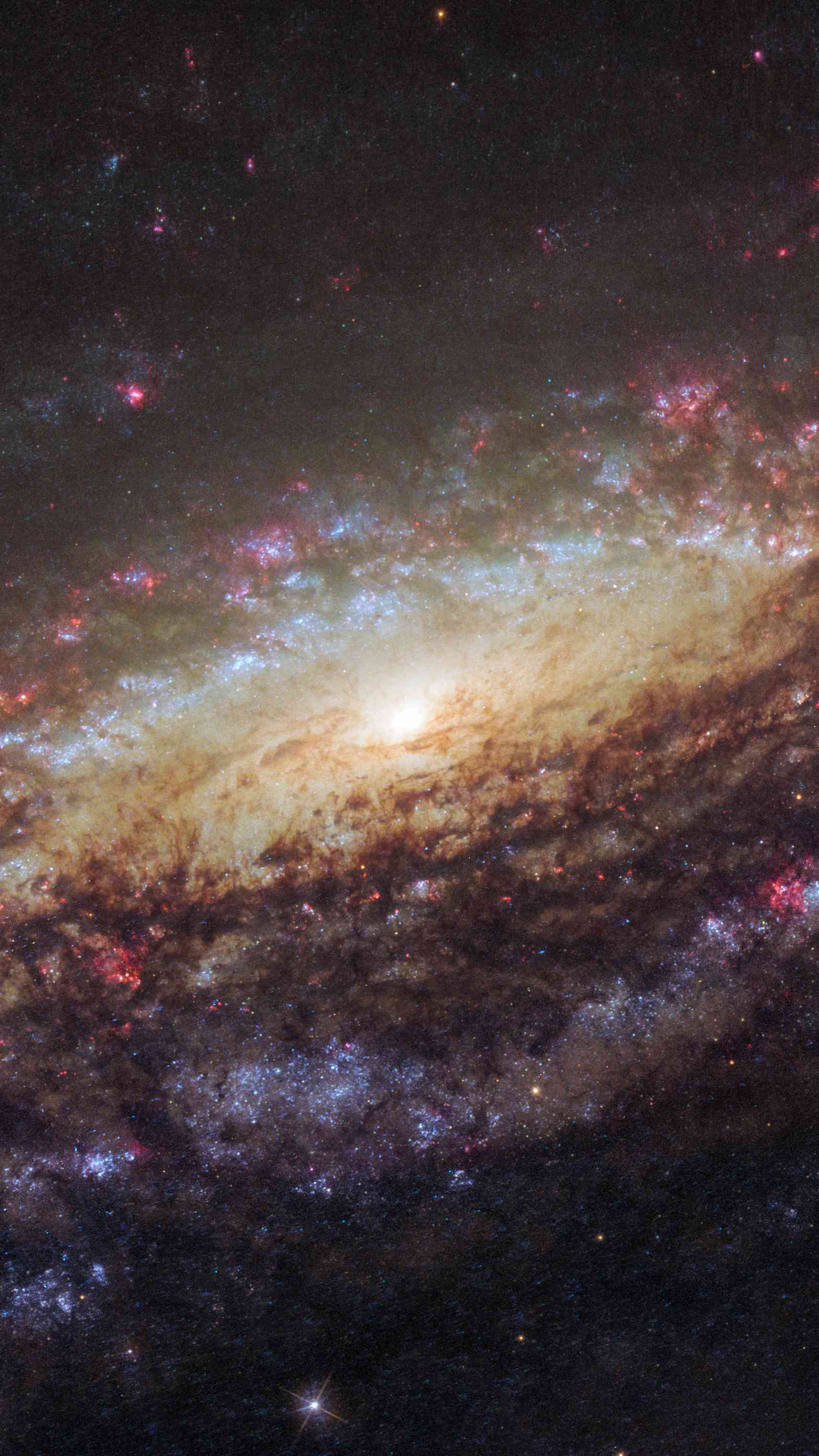 1708x3038 Andromeda Galaxy IPhone Wallpaper Wallpaper : iPhone Wallpaper