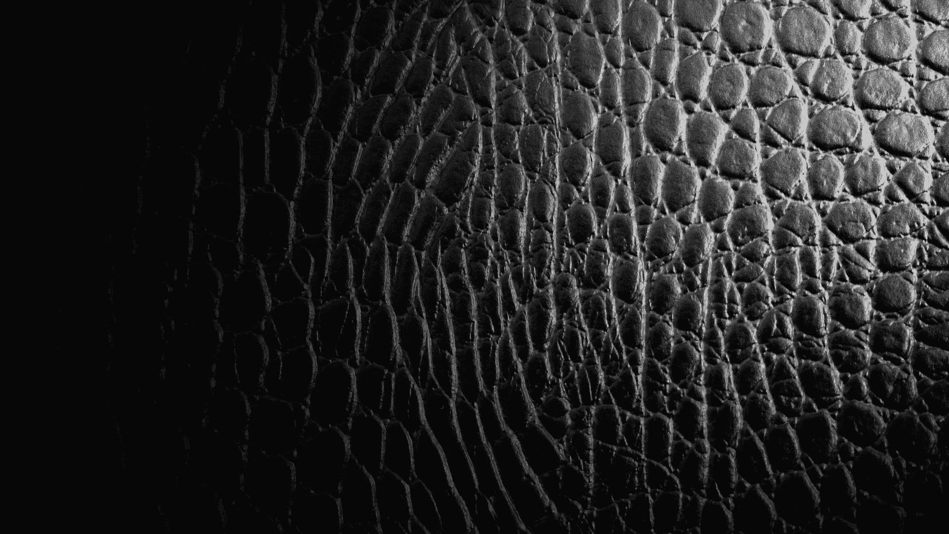 1920x1080 Free download Download Reptile Crocodile Leather Texture Goodwp Other Wallpaper [1920x1080] for your Desktop, Mobile & Tablet. Explore Alligator Textured Wallpaper. Alligator Wallpaper, Alligator Skin Wallpaper, Faux Alligator Wallpaper