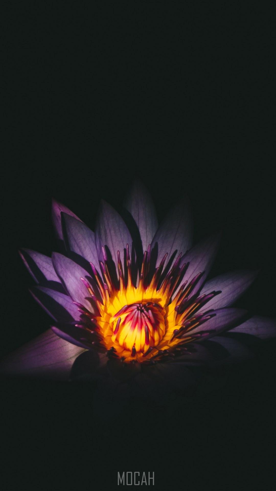 1080x1920 _, Xiaomi Mi A1 background hd, 1080x1920 HD Wallpaper