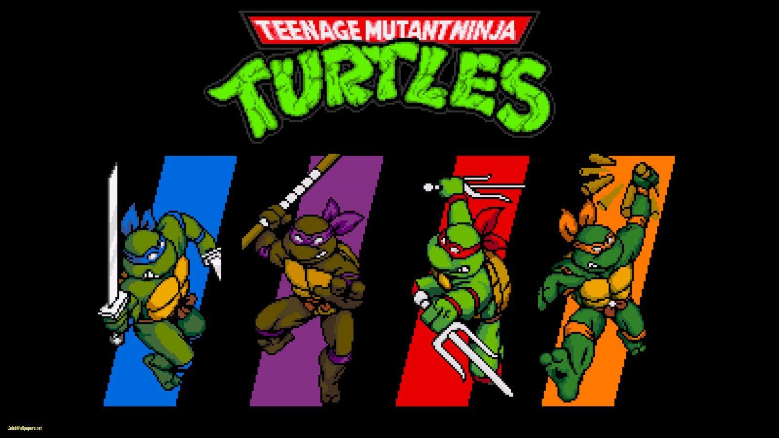 Ninja Turtle Wallpapers - Top Free Ninja Turtle Backgrounds ...