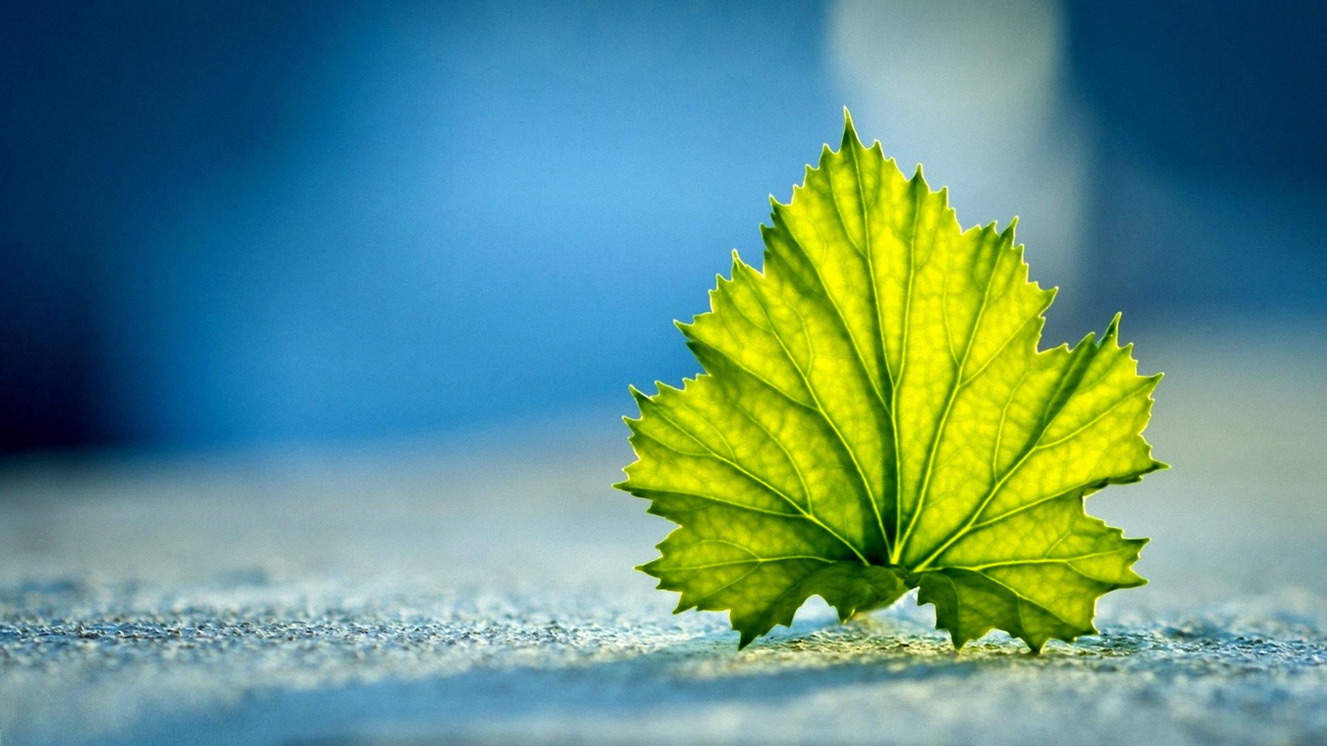 1920x1080 Ground Wallpaper HD