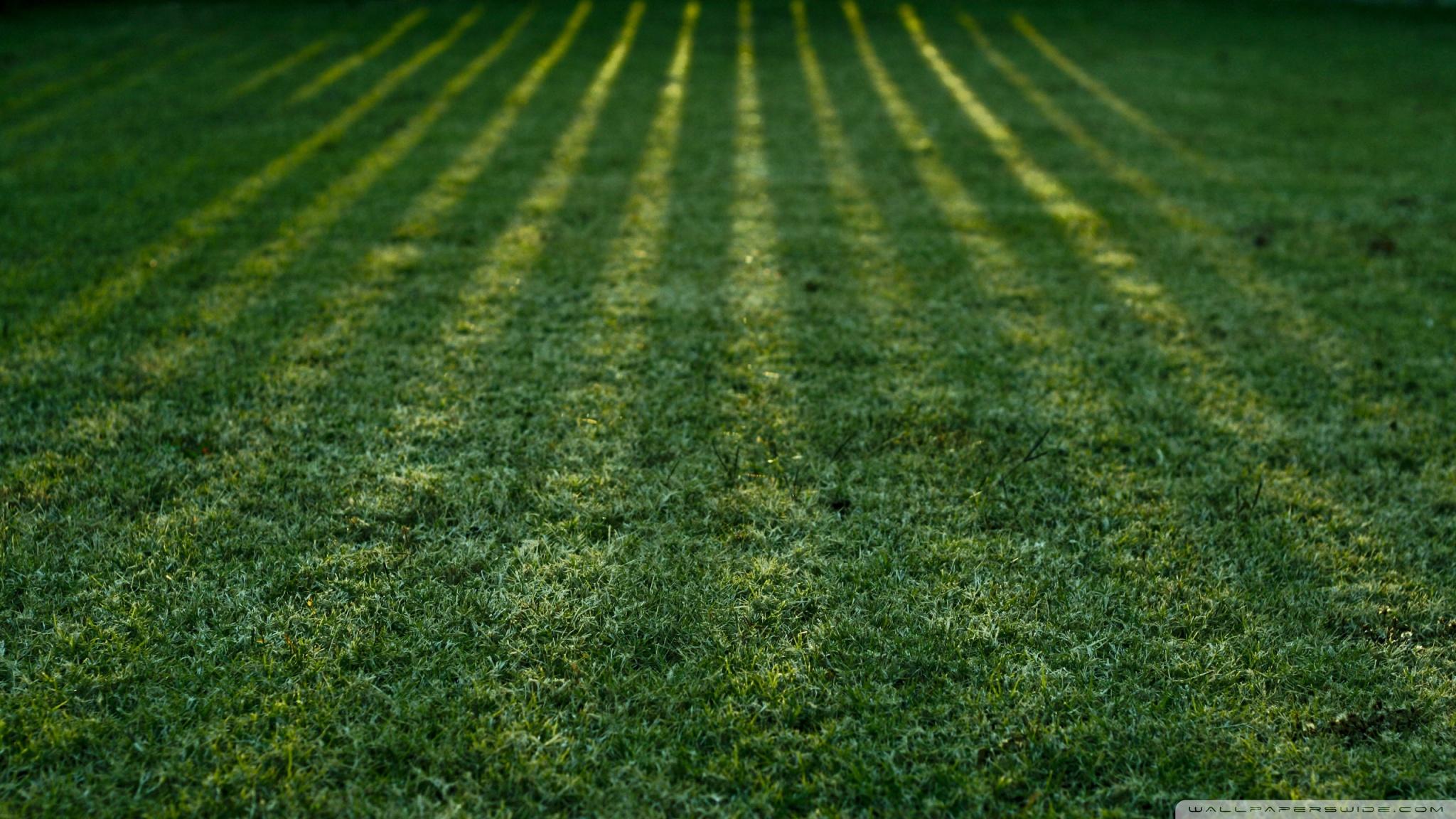 2048x1152 Green Grass Ultra HD Desktop Background Wallpaper for 4K UHD TV : Multi Display, Dual Monitor : Tablet