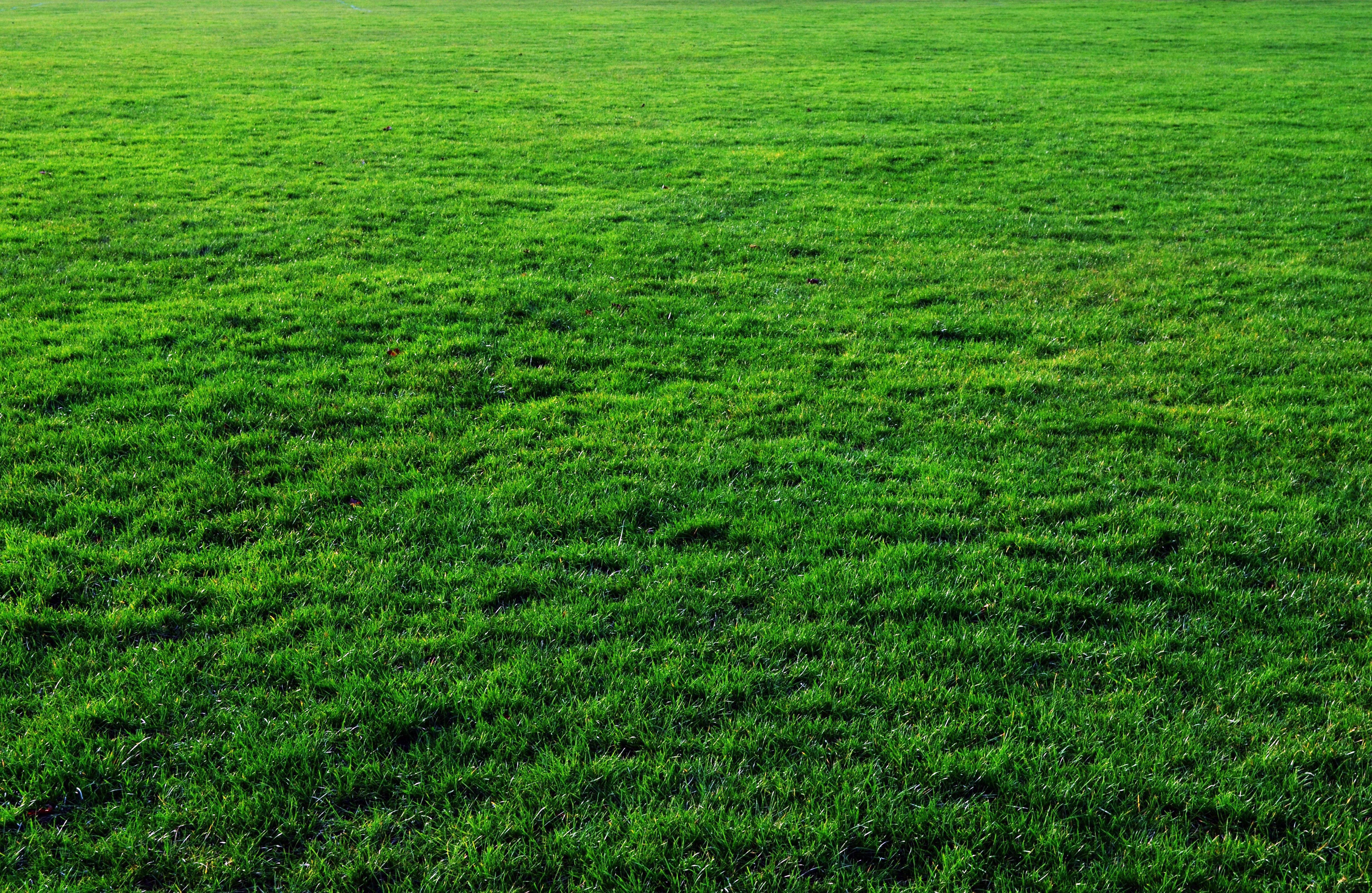 5174x3366 Green lawn Wallpaper