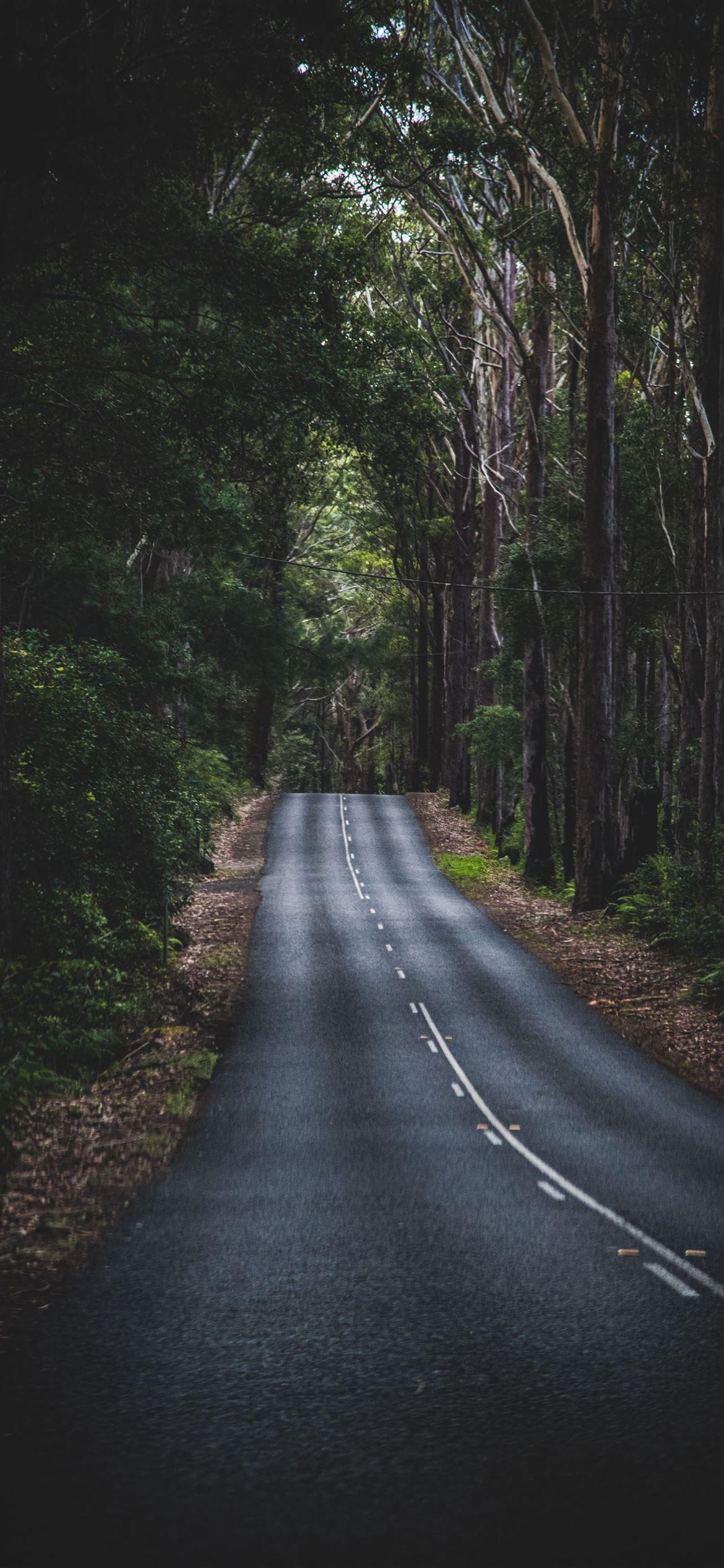 1170x2532 Best Road iPhone 12 HD Wallpaper