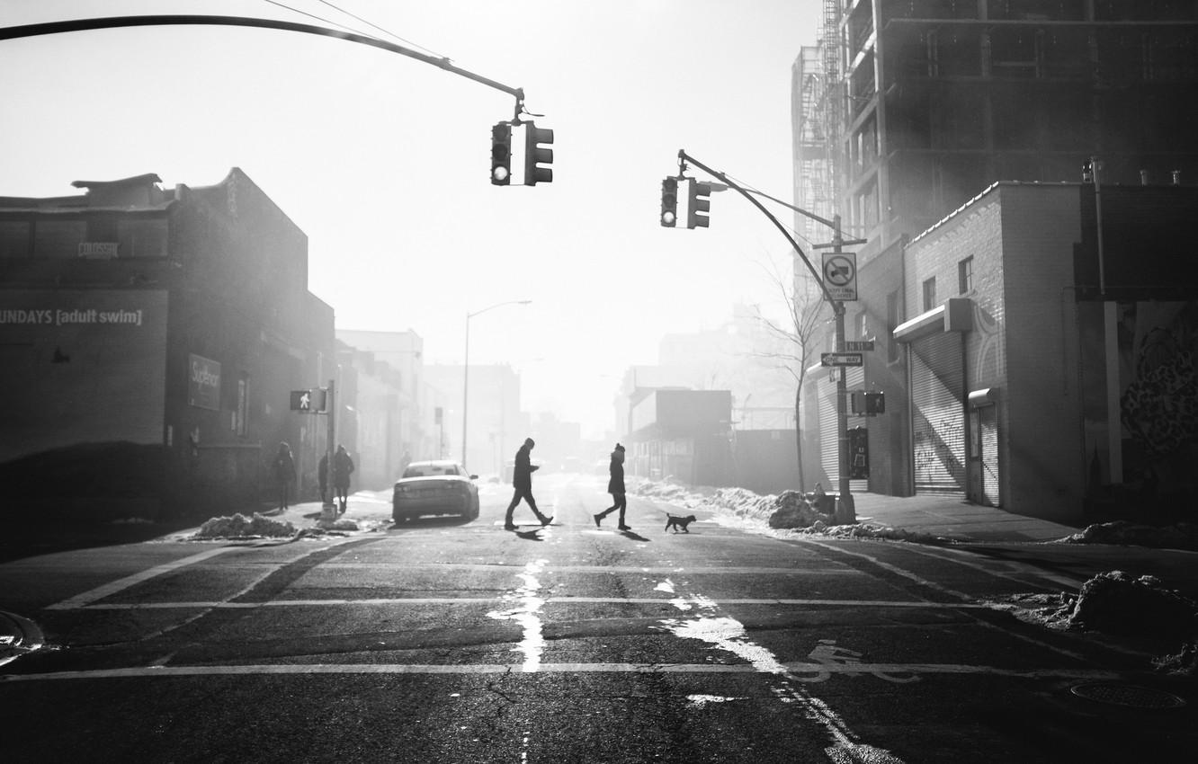 1332x850 Wallpaper people, sunlight, cityscape, traffic light, crosswalk, crossing image for desktop, section разное