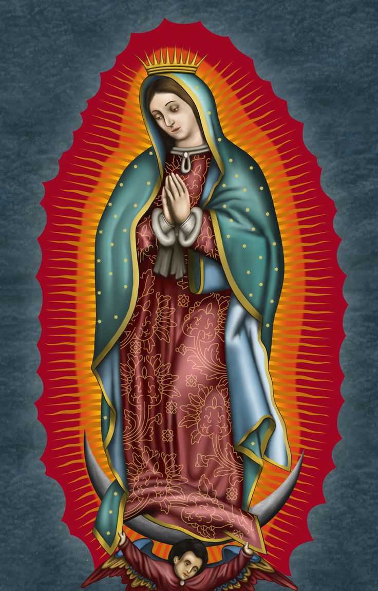 736x1150 HD Virgen De Guadalupe Wallpaper