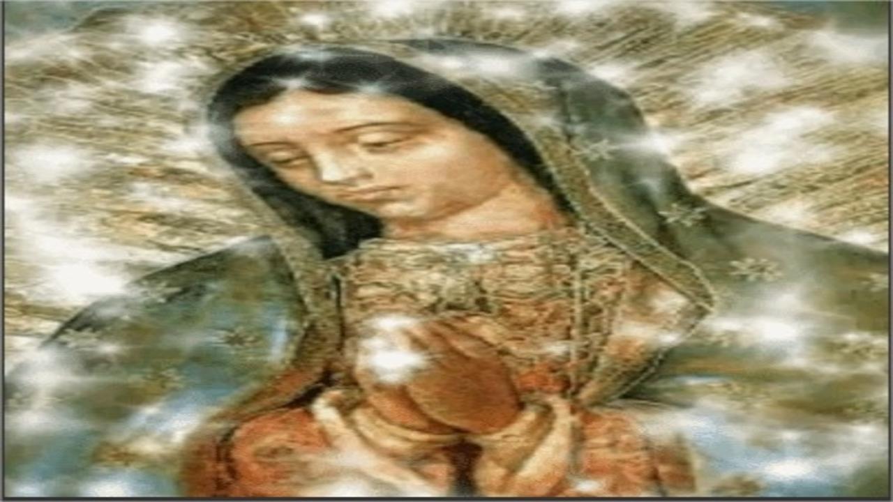 1280x720 Our Lady of Guadalupe Live Wallpaper for Android