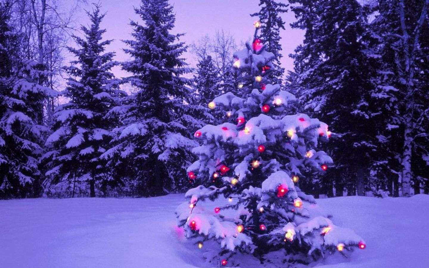 1440x900 Free Christmas Wallpaper Background 2