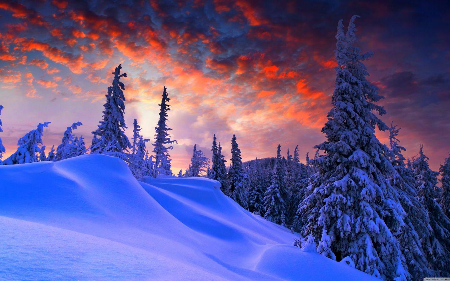 1440x900 Winter Christmas wallpaper in 1440x900 resolution