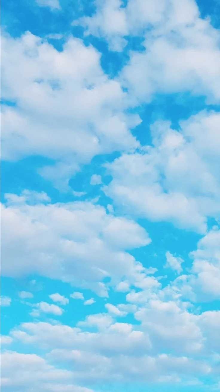 736x1307 Light Blue Wallpaper