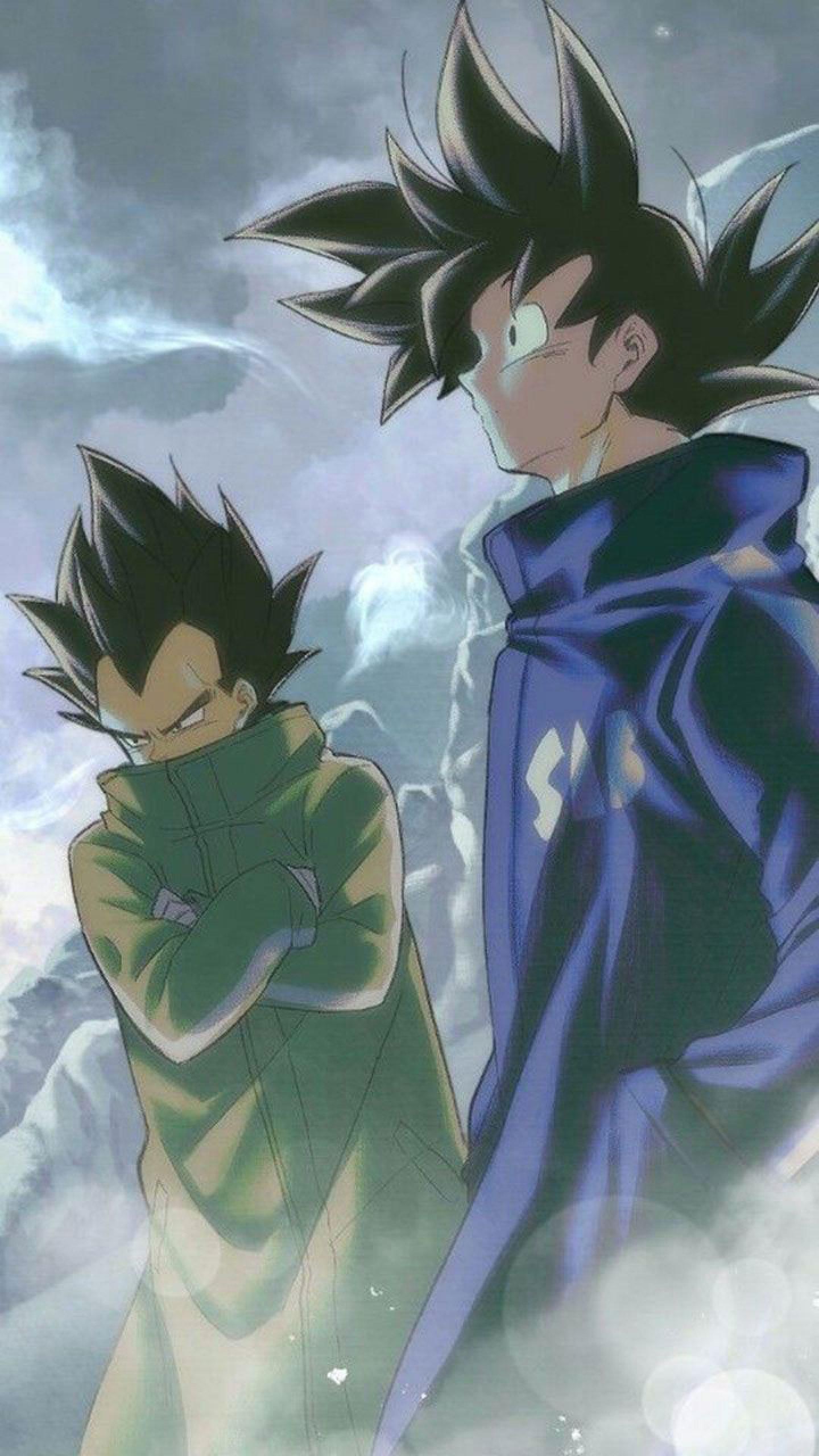 1440x2560 Drip Goku and Vegeta Wallpaper • Wallpaper For You HD Wallpaper For Desktop & Mobile