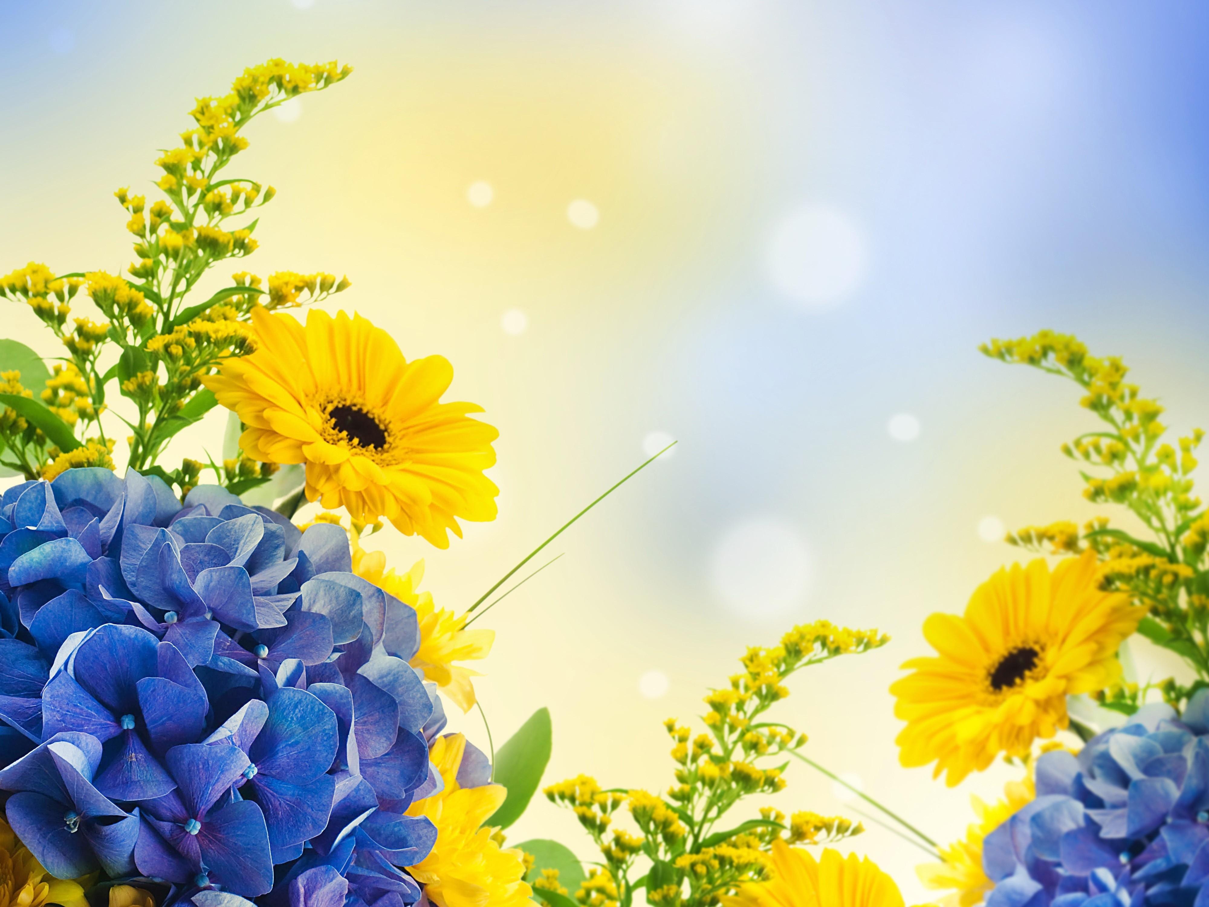 4000x3000 Free Nature Wallpaper Desktop