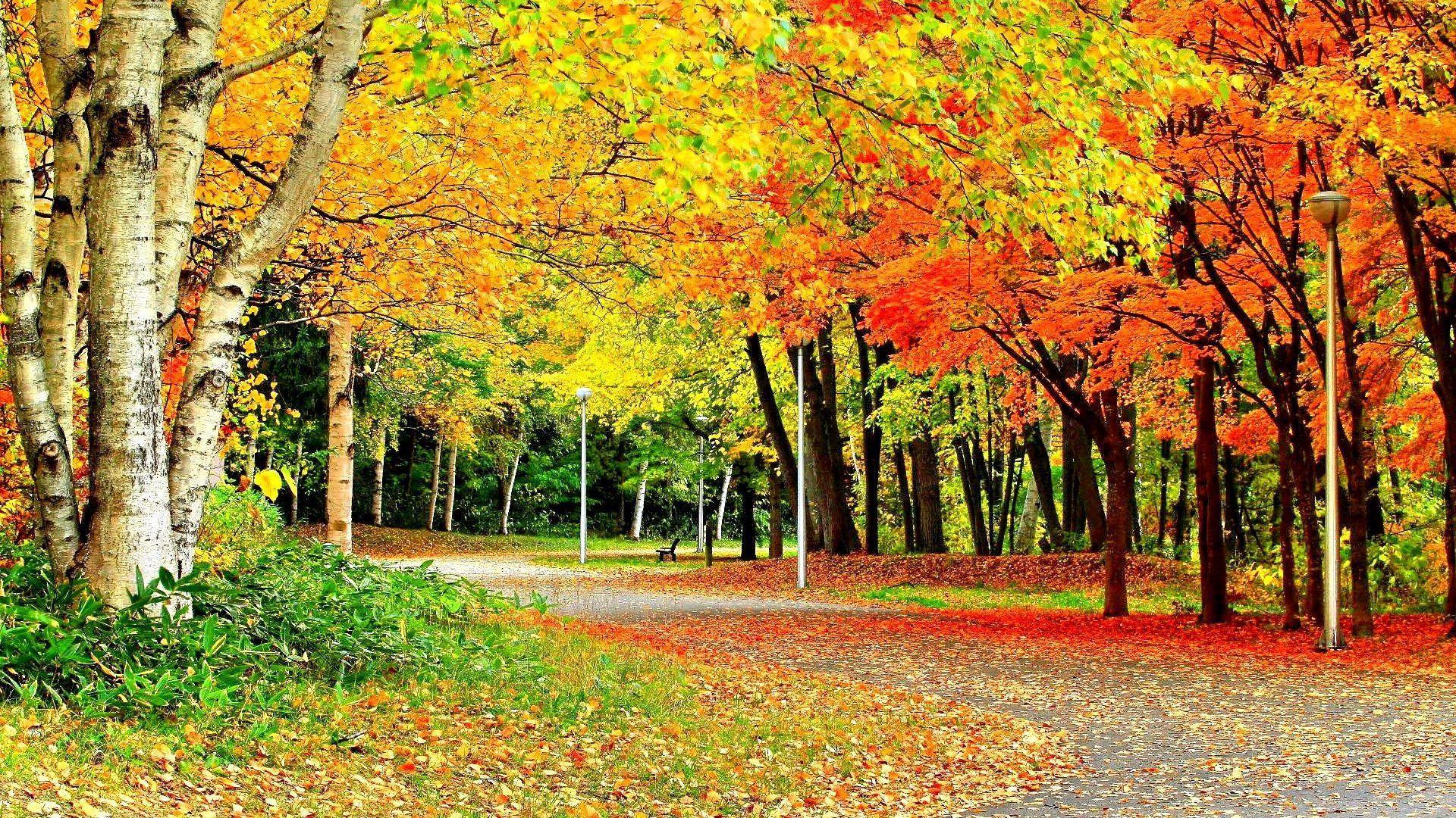 1920x1080 27++ Desktop Wallpaper HD Full Screen Nature