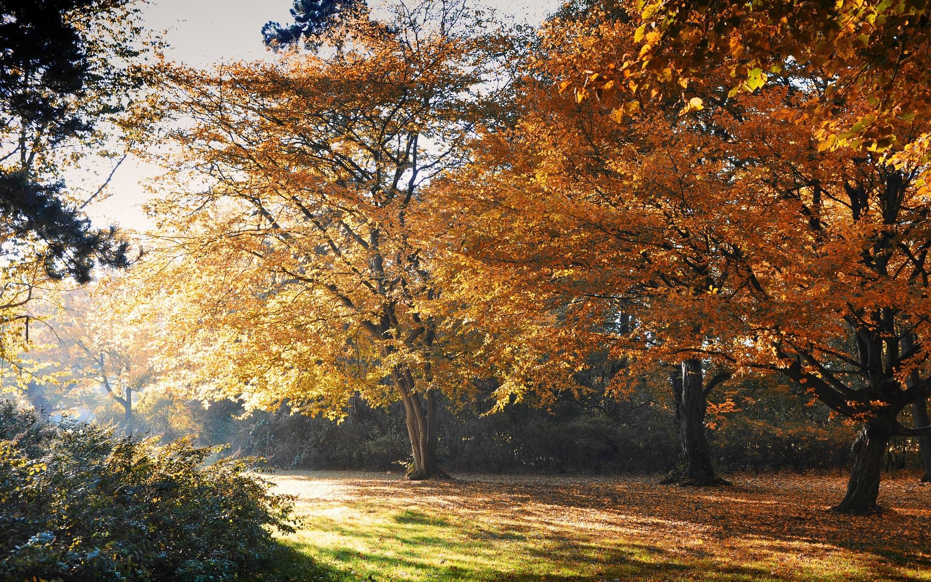 1920x1200 computer desktop wallpaper full screen nature pics 1920x1200 HD Wallpaper