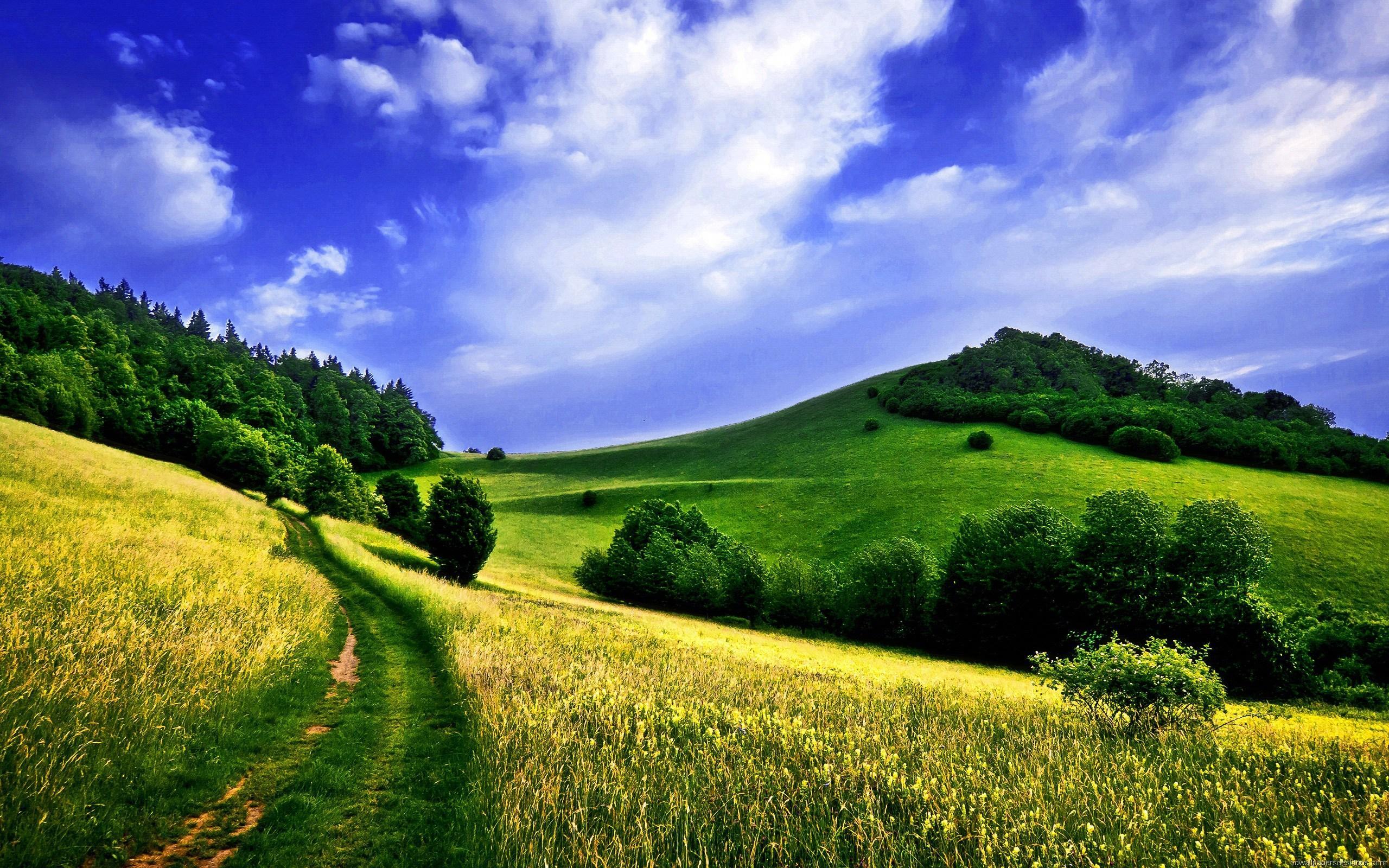 2560x1600 16++ Natural Wallpaper Full Screen