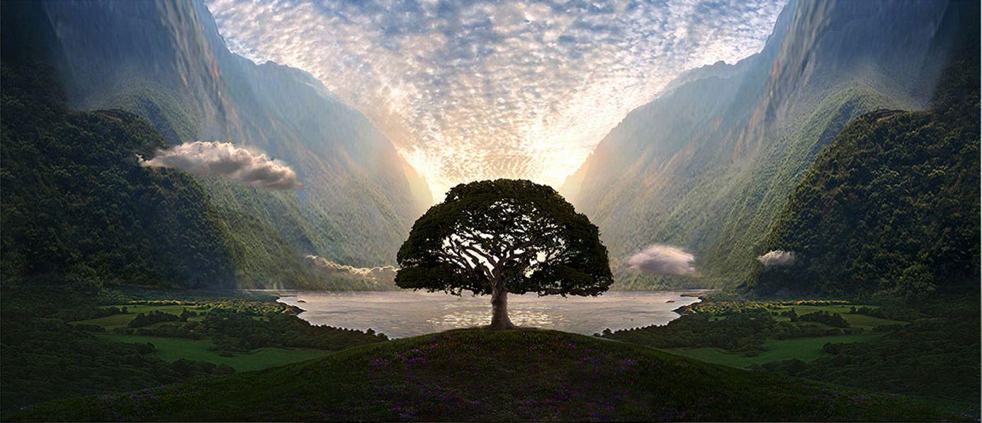 1386x597 Tree in valley Lovely Bones concept art. The lovely bones, Photography illustration, Concept art