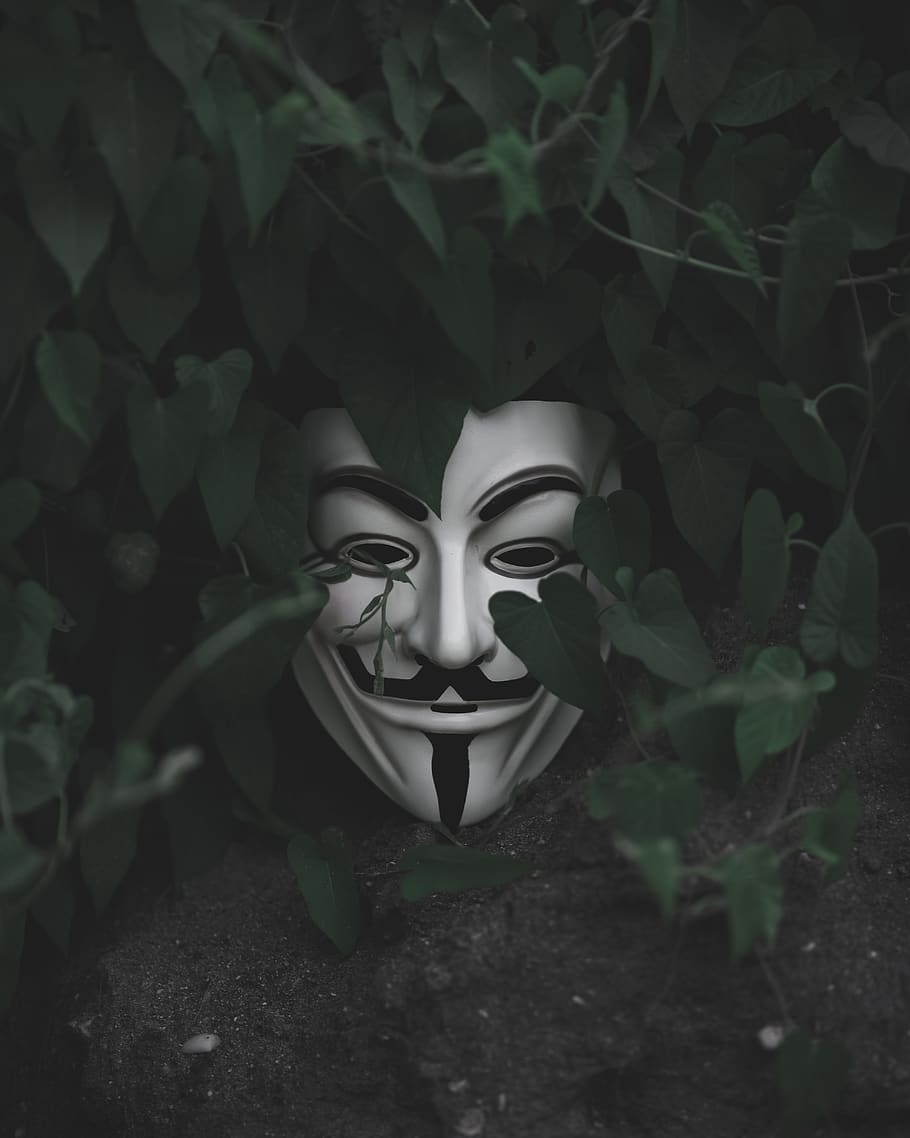 910x1138 guy fawkes wallpaper, face, green, head, smile, darkness, illustration, art, photography, fictional character, black and white