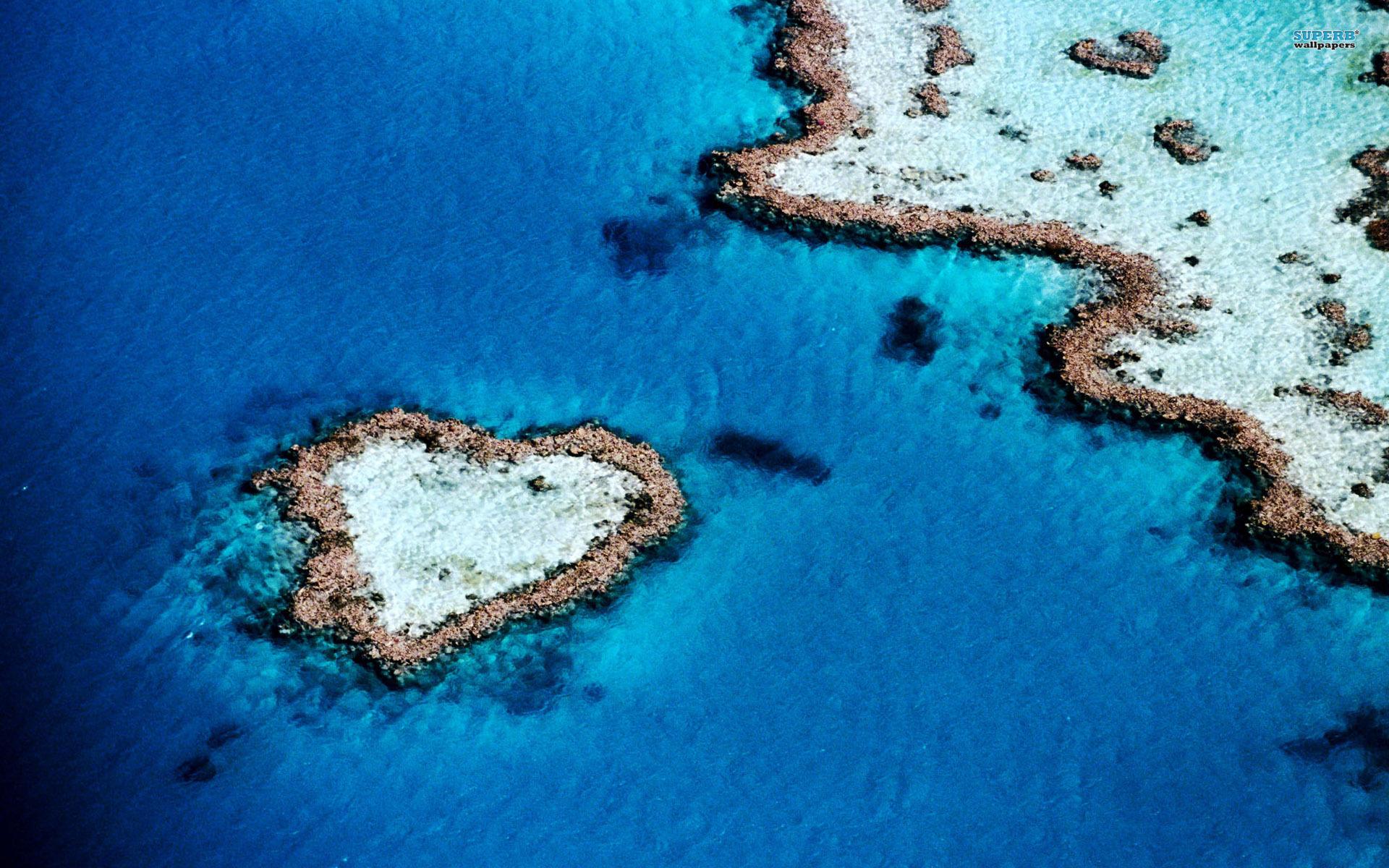 1920x1200 Hardy Reef near Whitsunday Islands, queensland, australia, summer, nature wallpaper. Hardy Reef near Whitsunday I