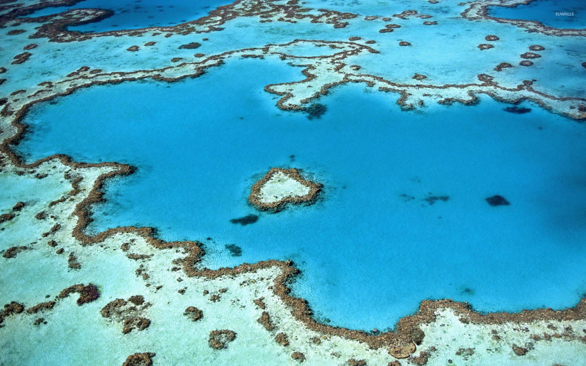 1920x1200 Hardy Reef near Whitsunday Islands wallpaper wallpaper