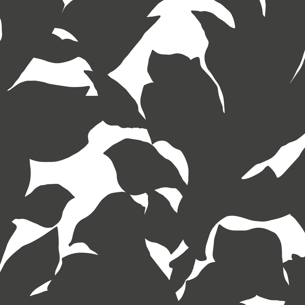 1000x1000 Holly Black Wallpaper Paranjape Papers ft. Premium Paper 4K of Wallpaper for Andriod