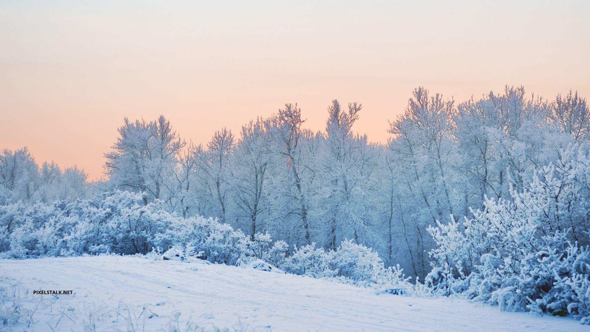 Winter 1920x1080 Wallpapers Top Free Winter 1920x1080 Backgrounds