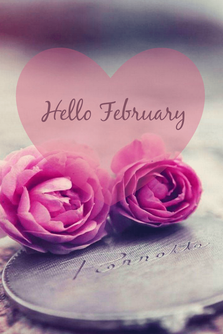 750x1125 HD February Wallpaper