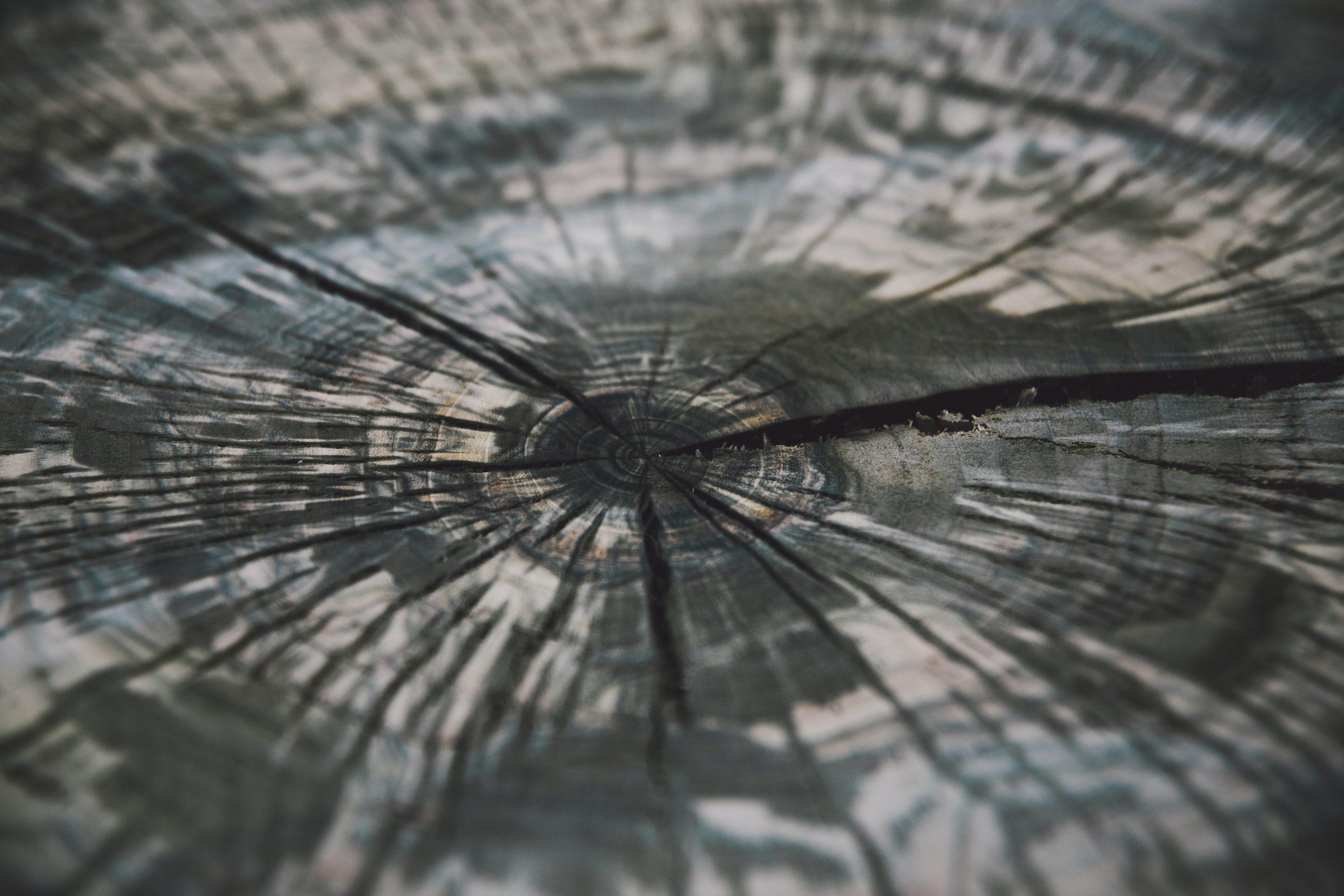 2560x1707 Compass Image & Wallpaper