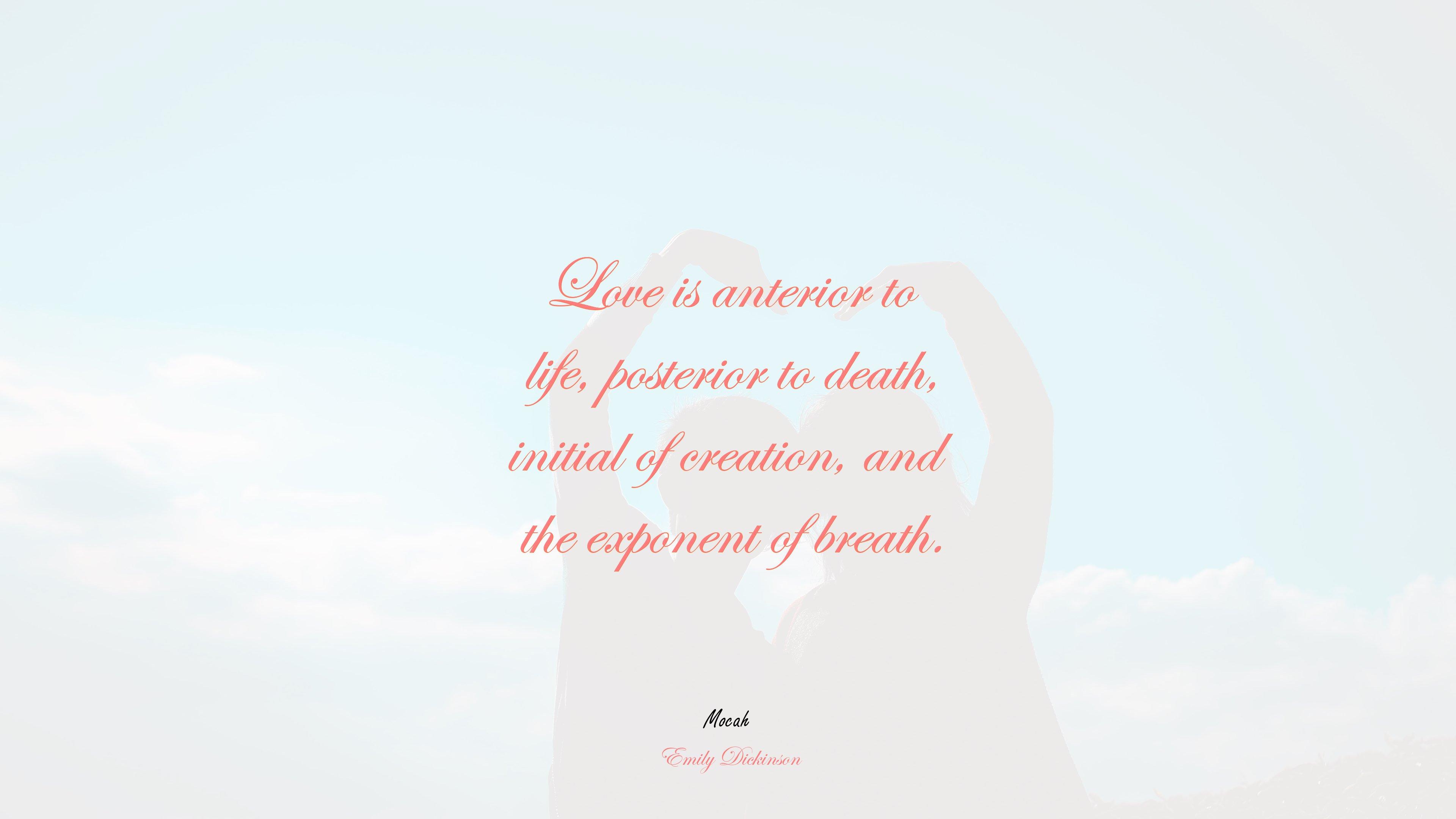 3840x2160 wallpaper of love quote free download, Emily Dickinson quote, 4k wallpaper HD Wallpaper