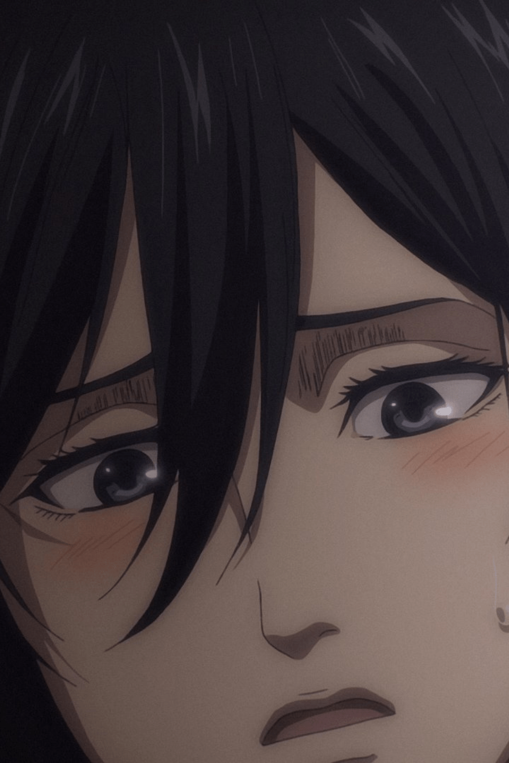 1000x1500 UwU Mikasa. Attack on titan season, Attack on titan, Mikasa
