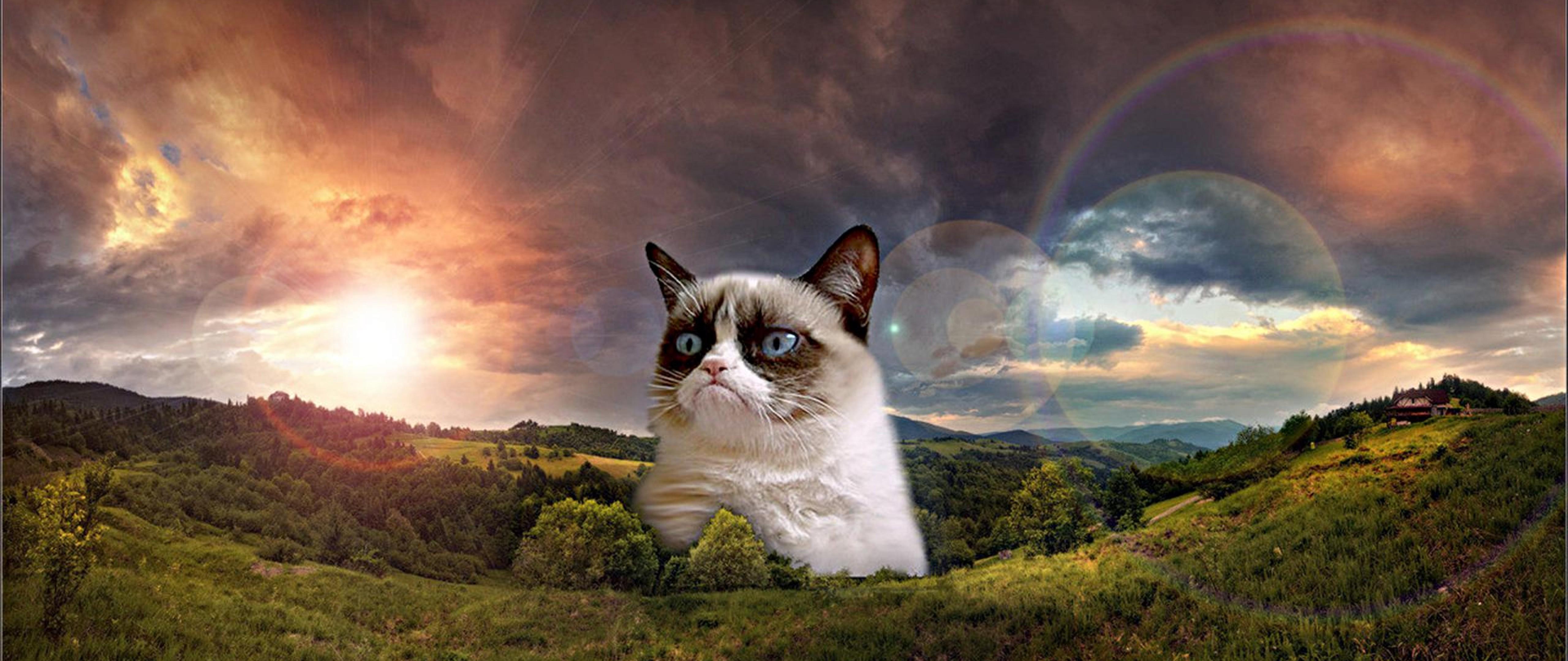 Wallpaper Meme 4K Background Meme SFKAD