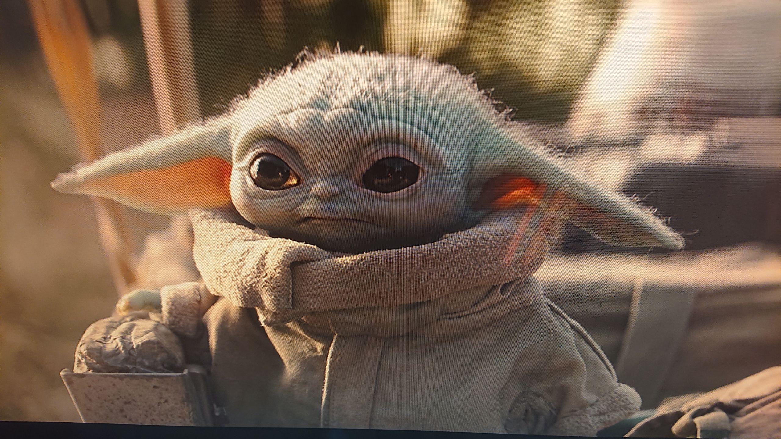 2560x1440 High Quality Sad Baby Yoda Blank Meme Template Yoda Wallpaper 4k